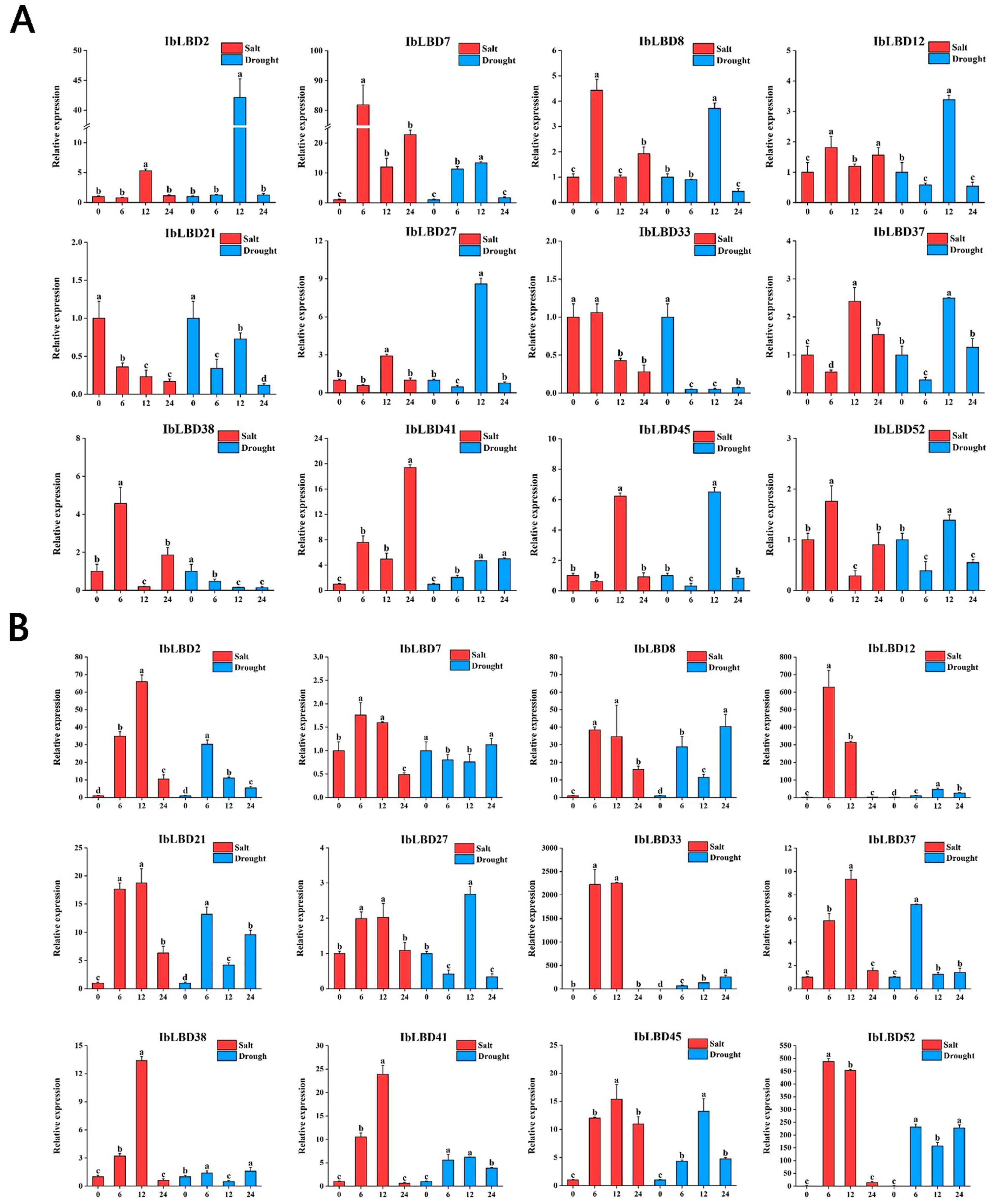 Genes 15 00237 g010a Genes 15 00237 g010a