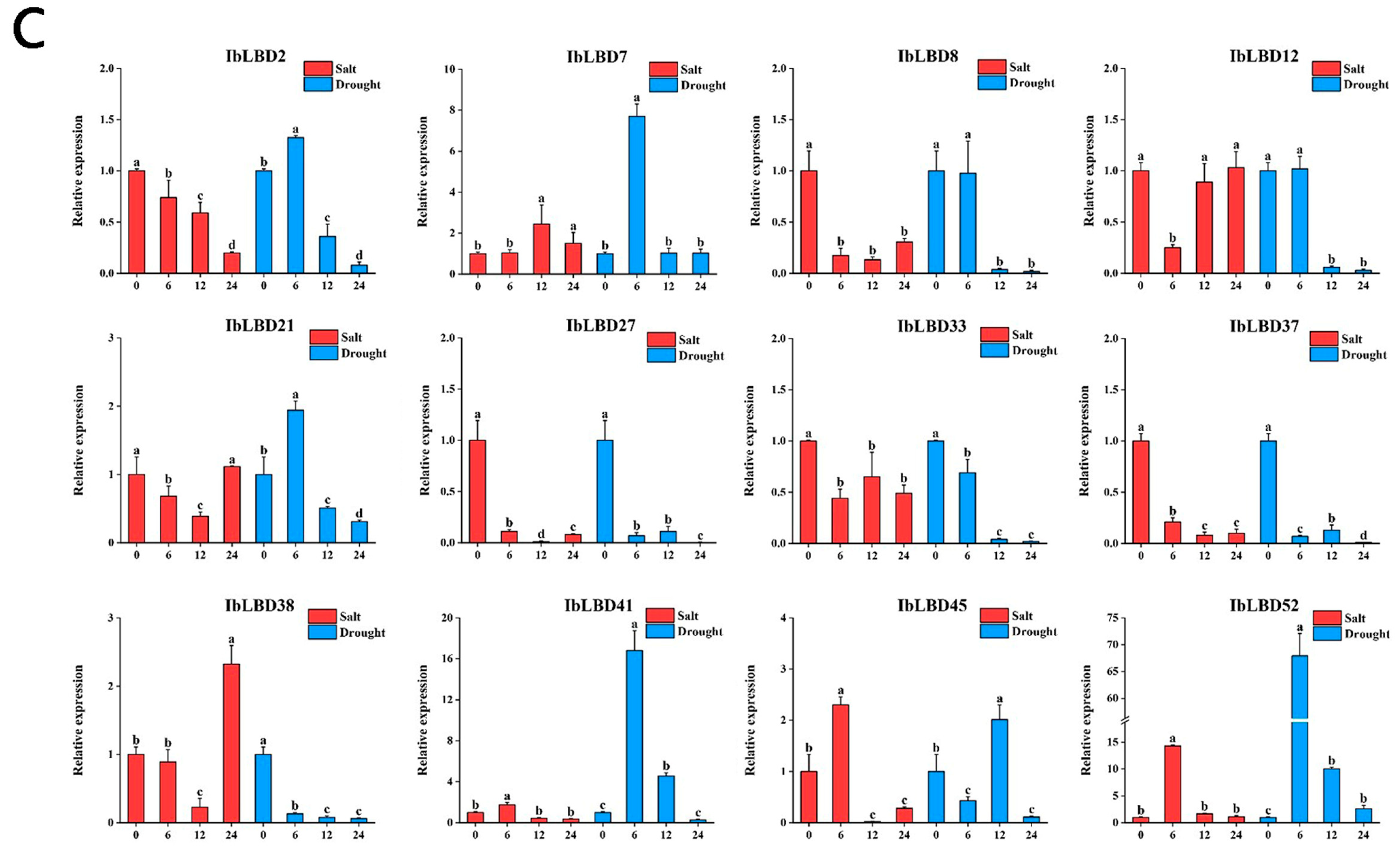 Genes 15 00237 g010c Genes 15 00237 g010c