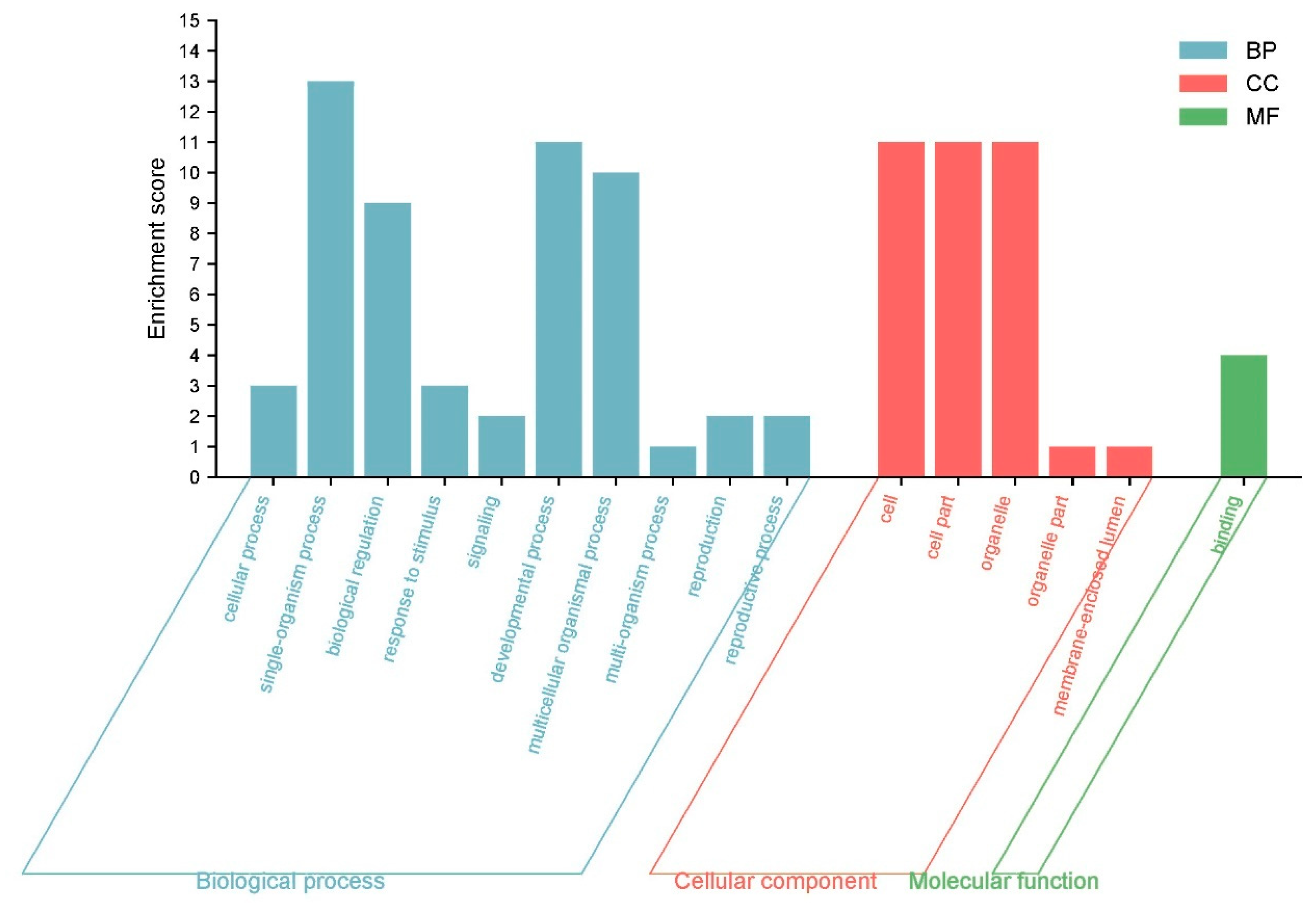 Genes 15 00237 g012 Genes 15 00237 g012