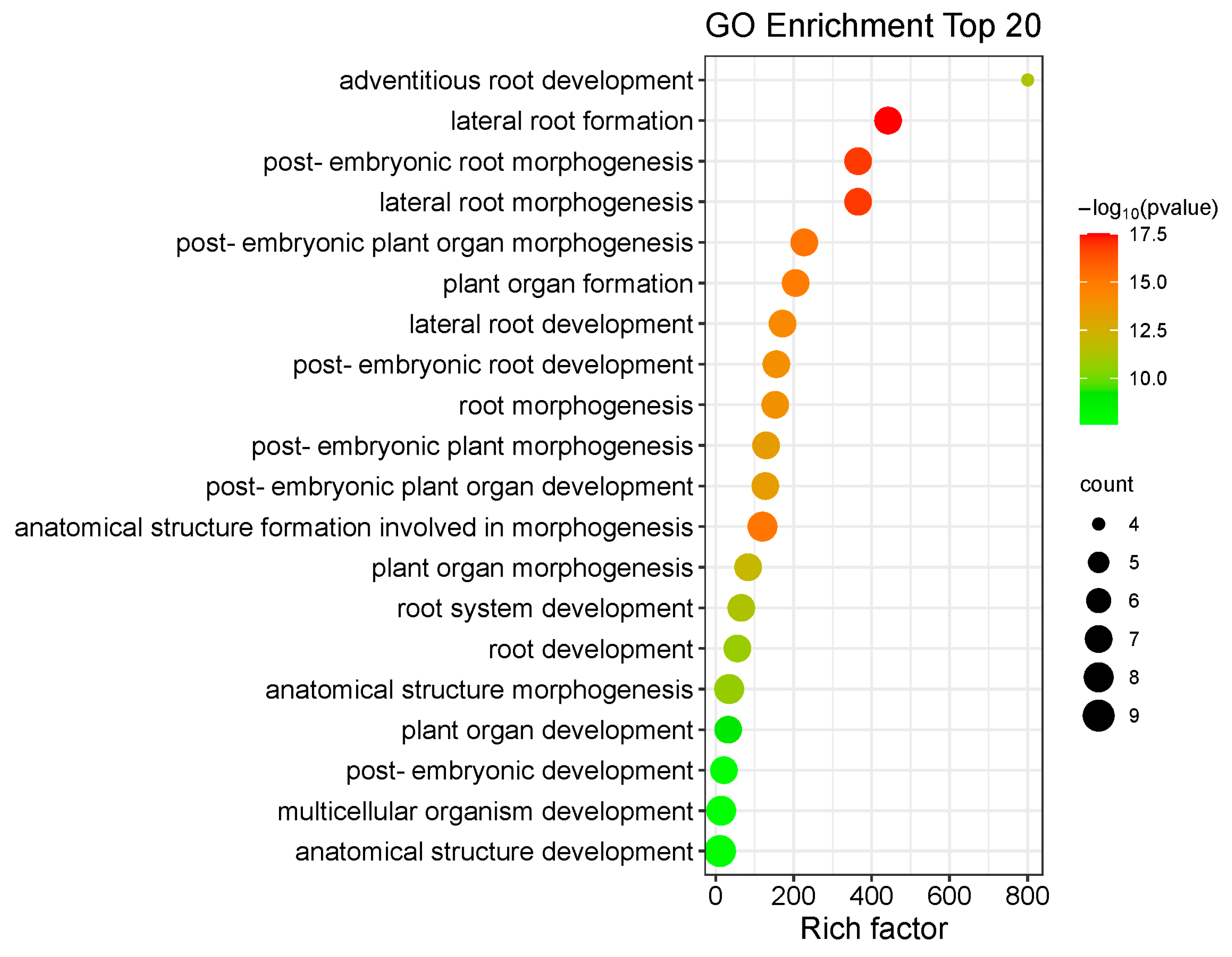Genes 15 00237 g013 Genes 15 00237 g013