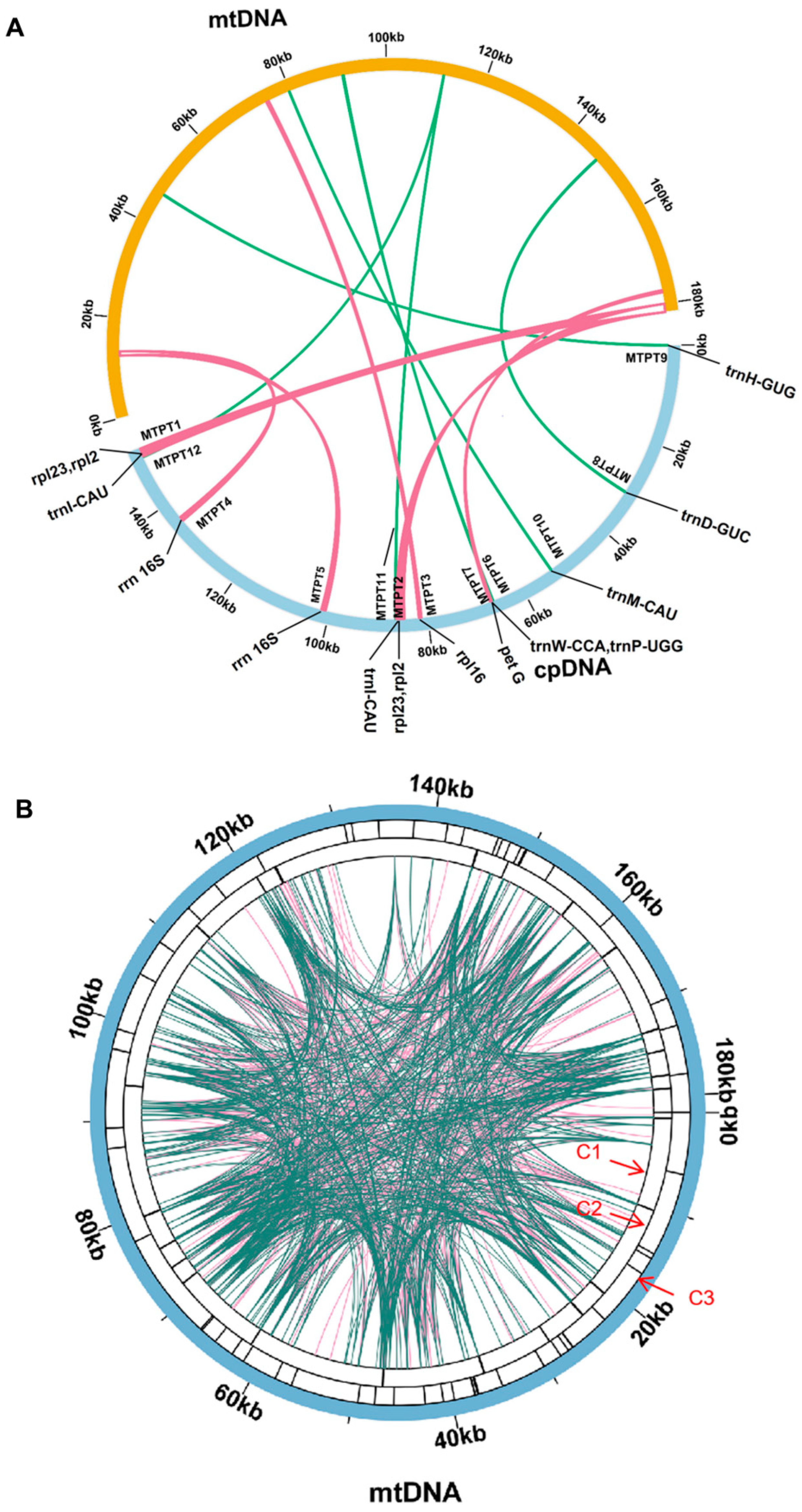 Genes 15 00239 g003