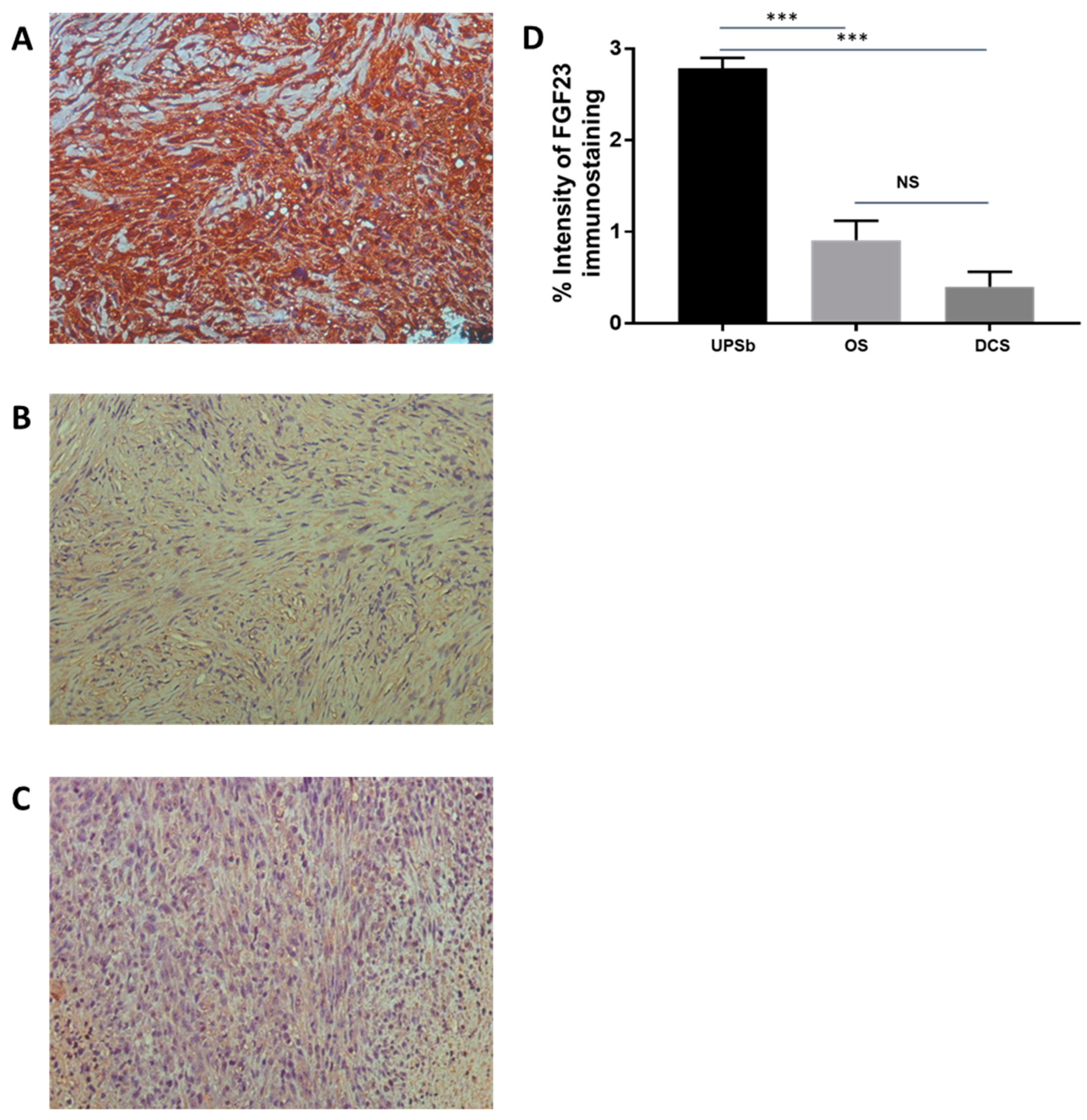 Genes 15 00242 g001 Genes 15 00242 g001