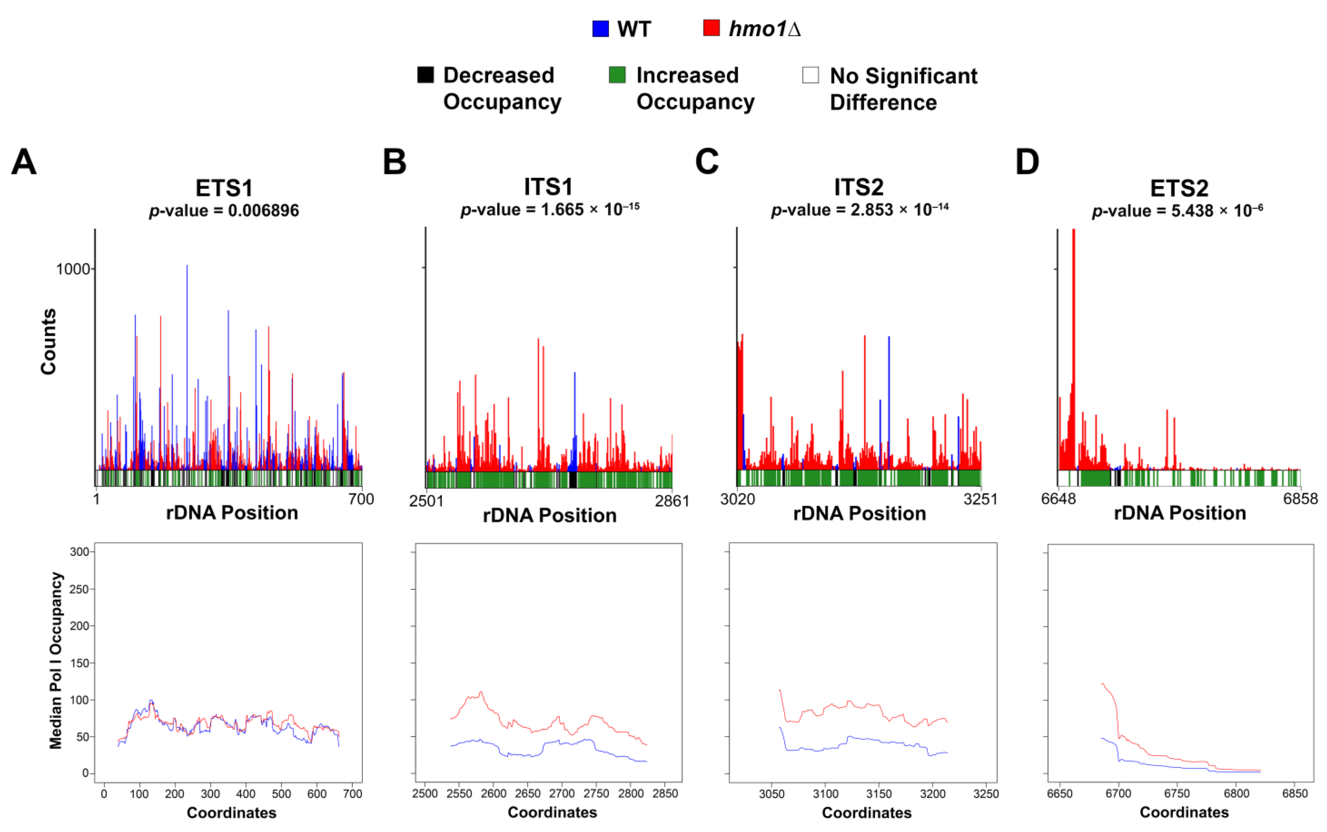 Genes 15 00247 g002