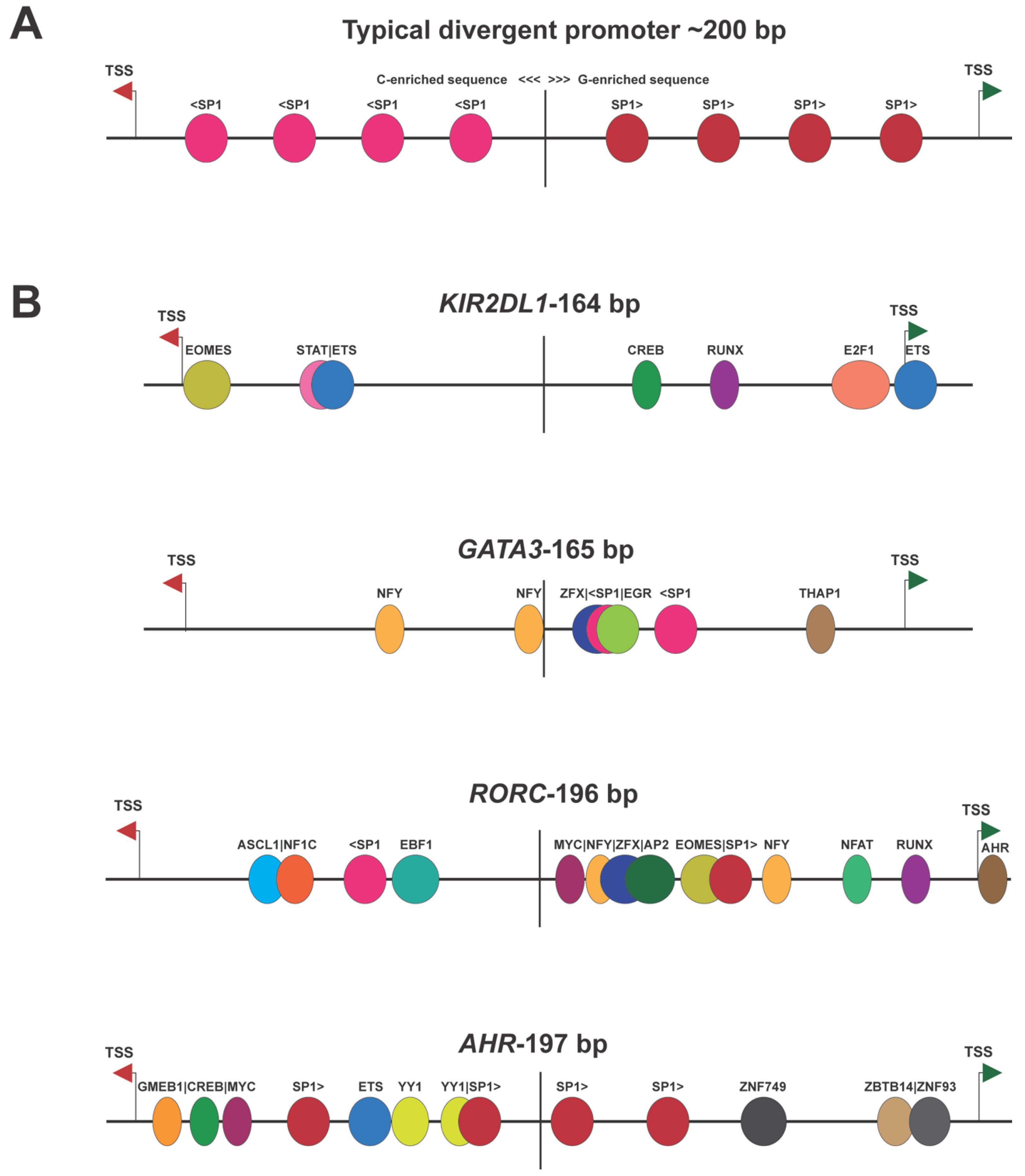 Genes 15 00252 g002 Genes 15 00252 g002