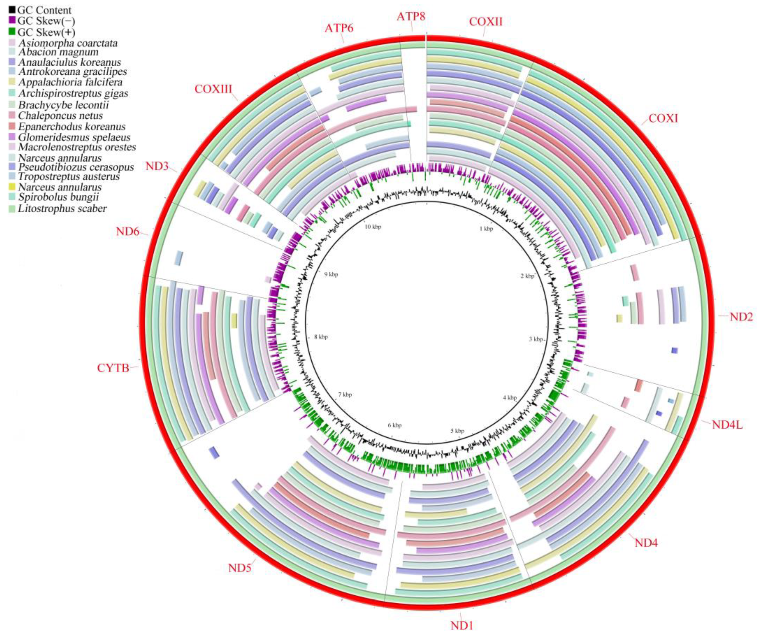 Genes 15 00254 g003 Genes 15 00254 g003