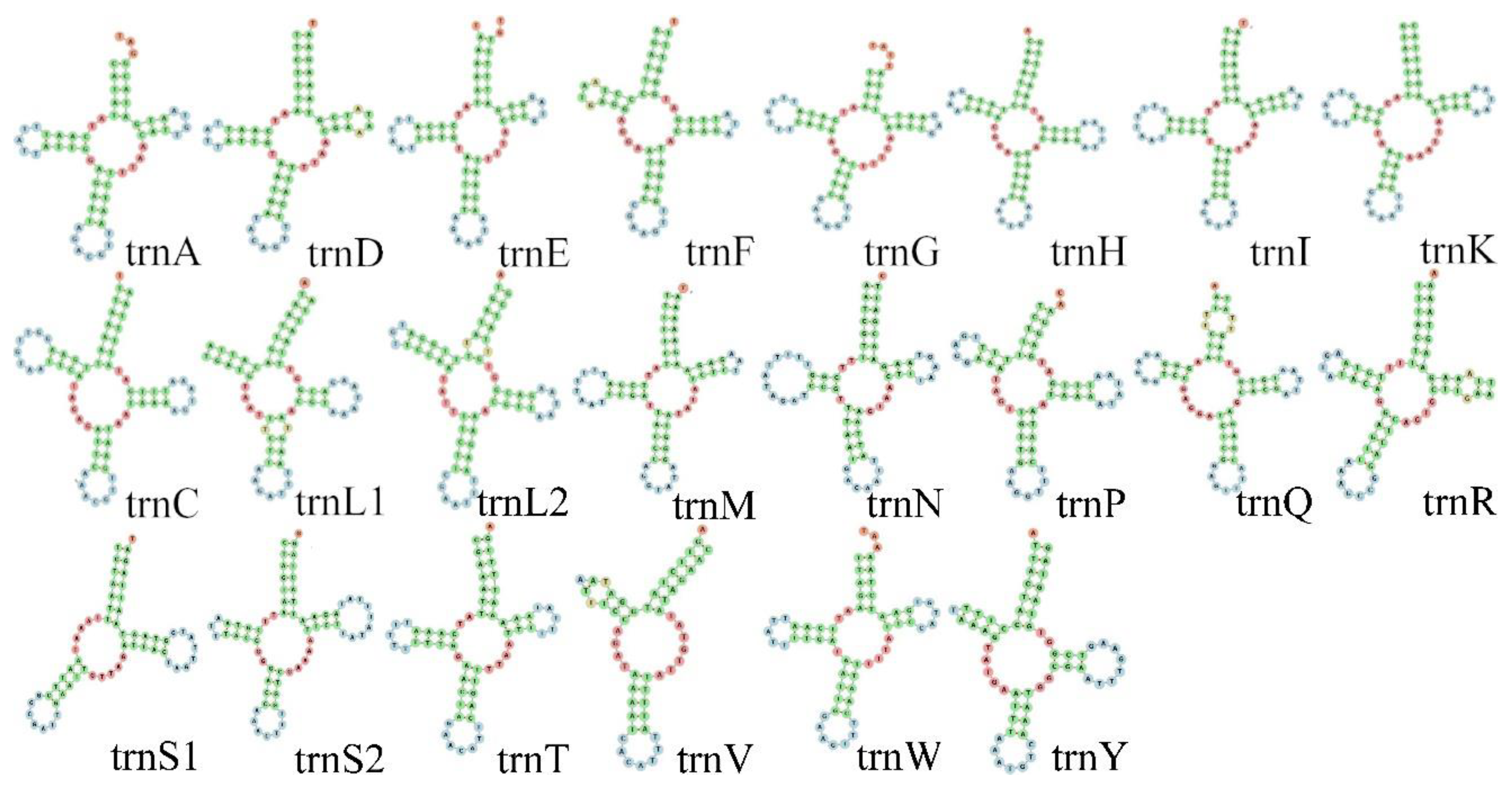 Genes 15 00254 g006 Genes 15 00254 g006