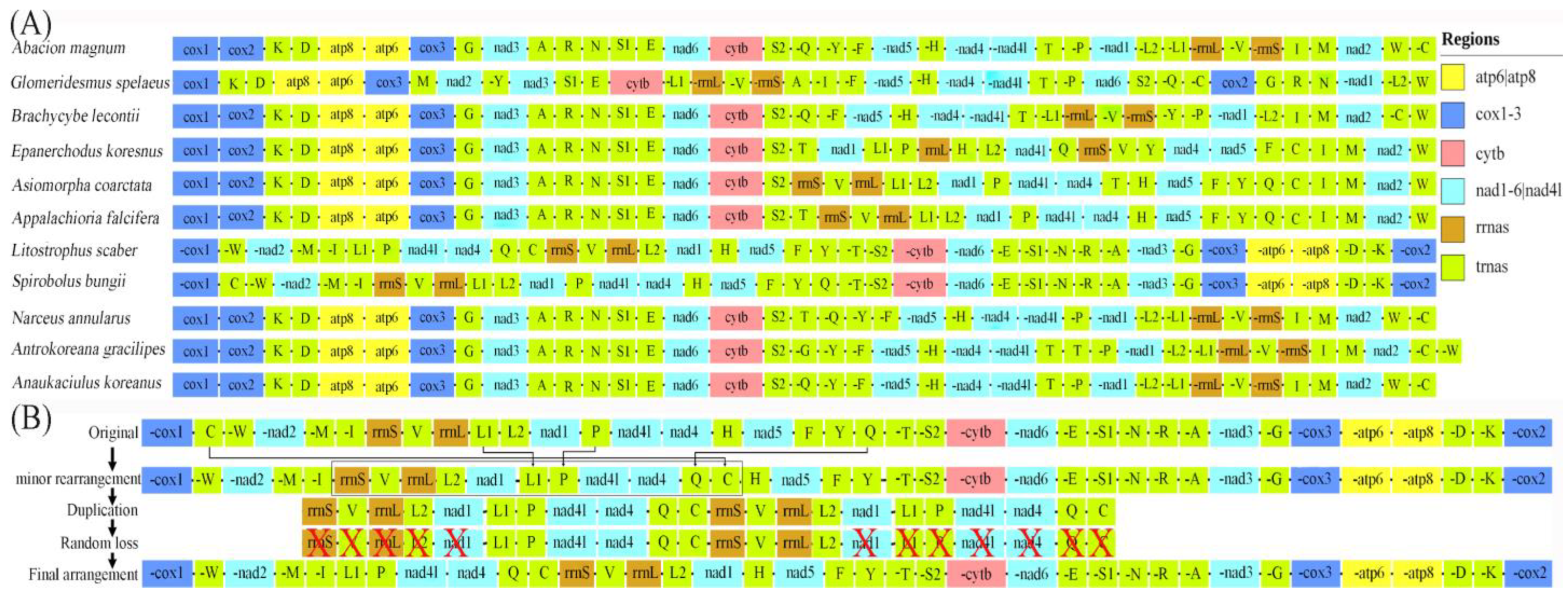 Genes 15 00254 g007 Genes 15 00254 g007