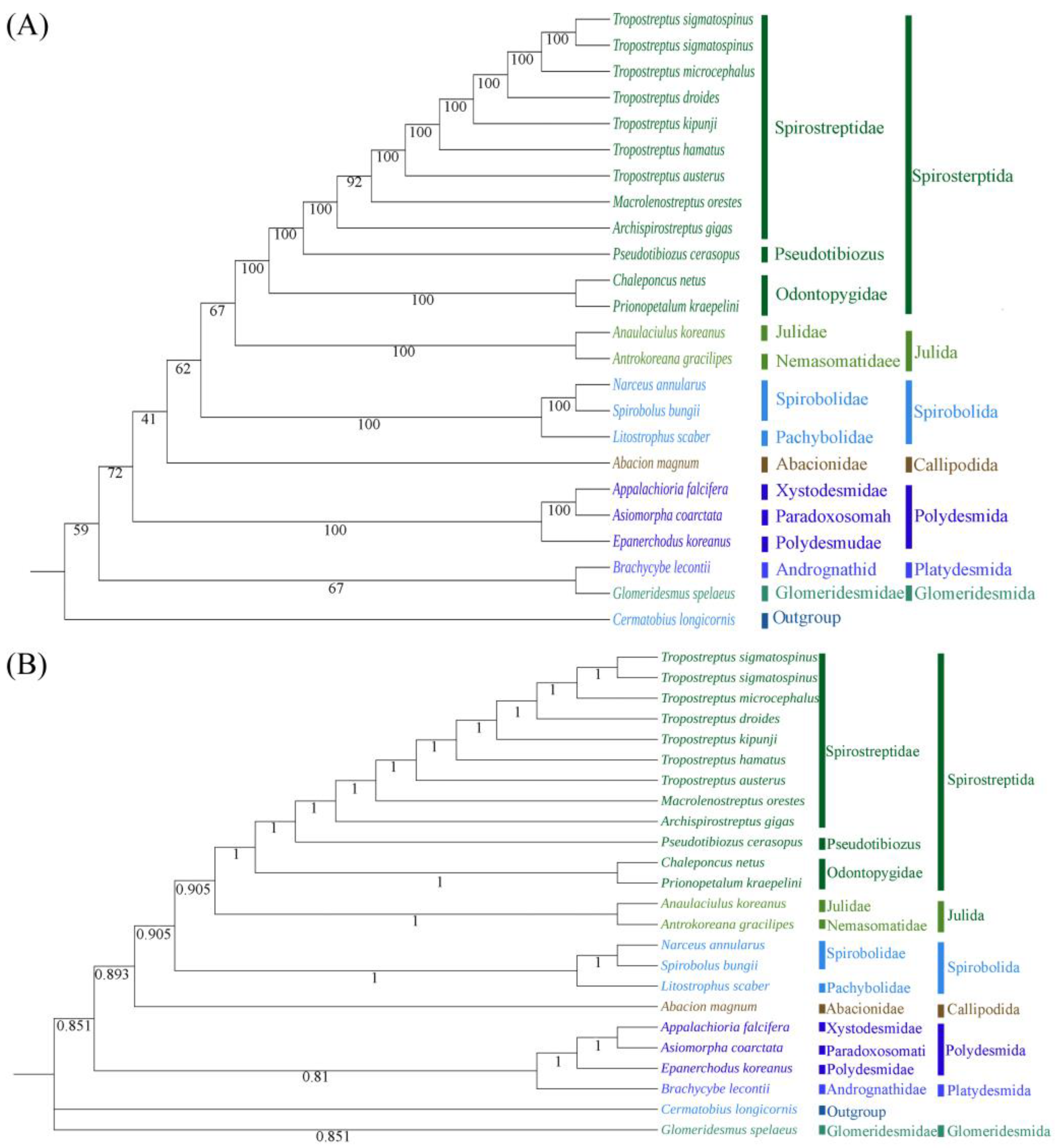 Genes 15 00254 g008 Genes 15 00254 g008