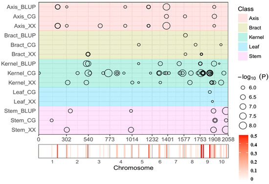 Identification of Novel QTL for Mercury Accumulation in Maize