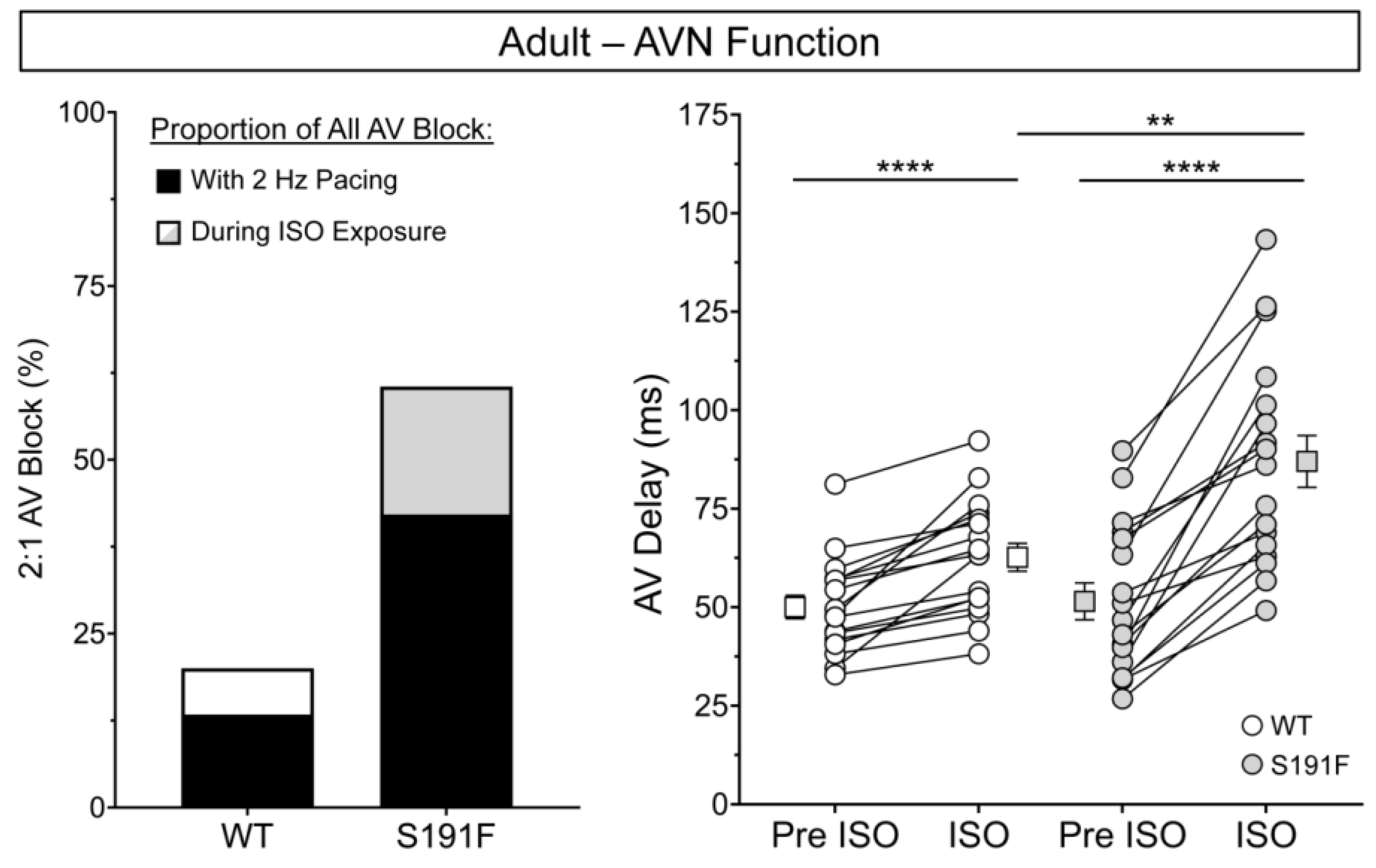 Genes 15 00280 g008