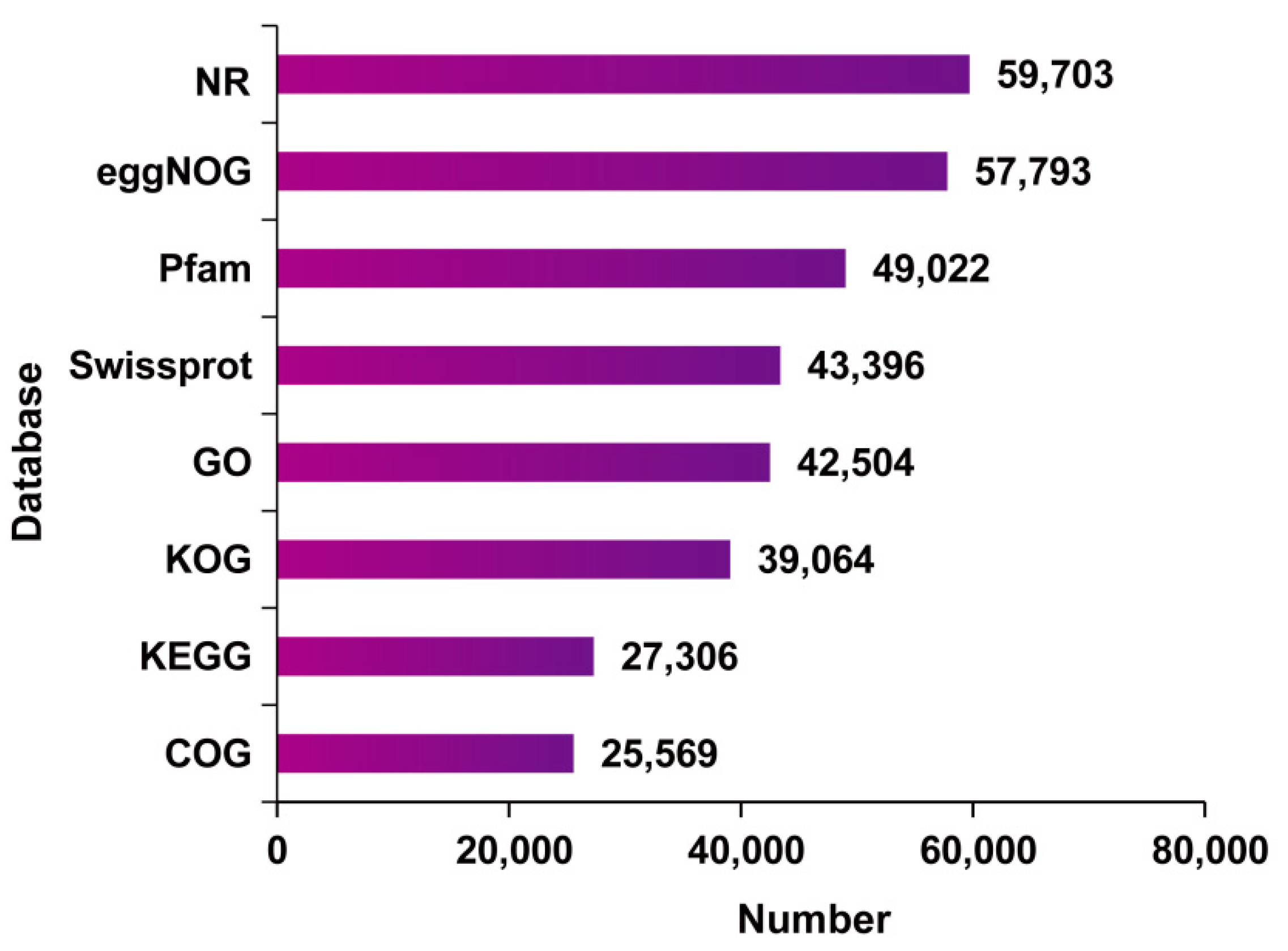 Genes 15 00285 g002 Genes 15 00285 g002