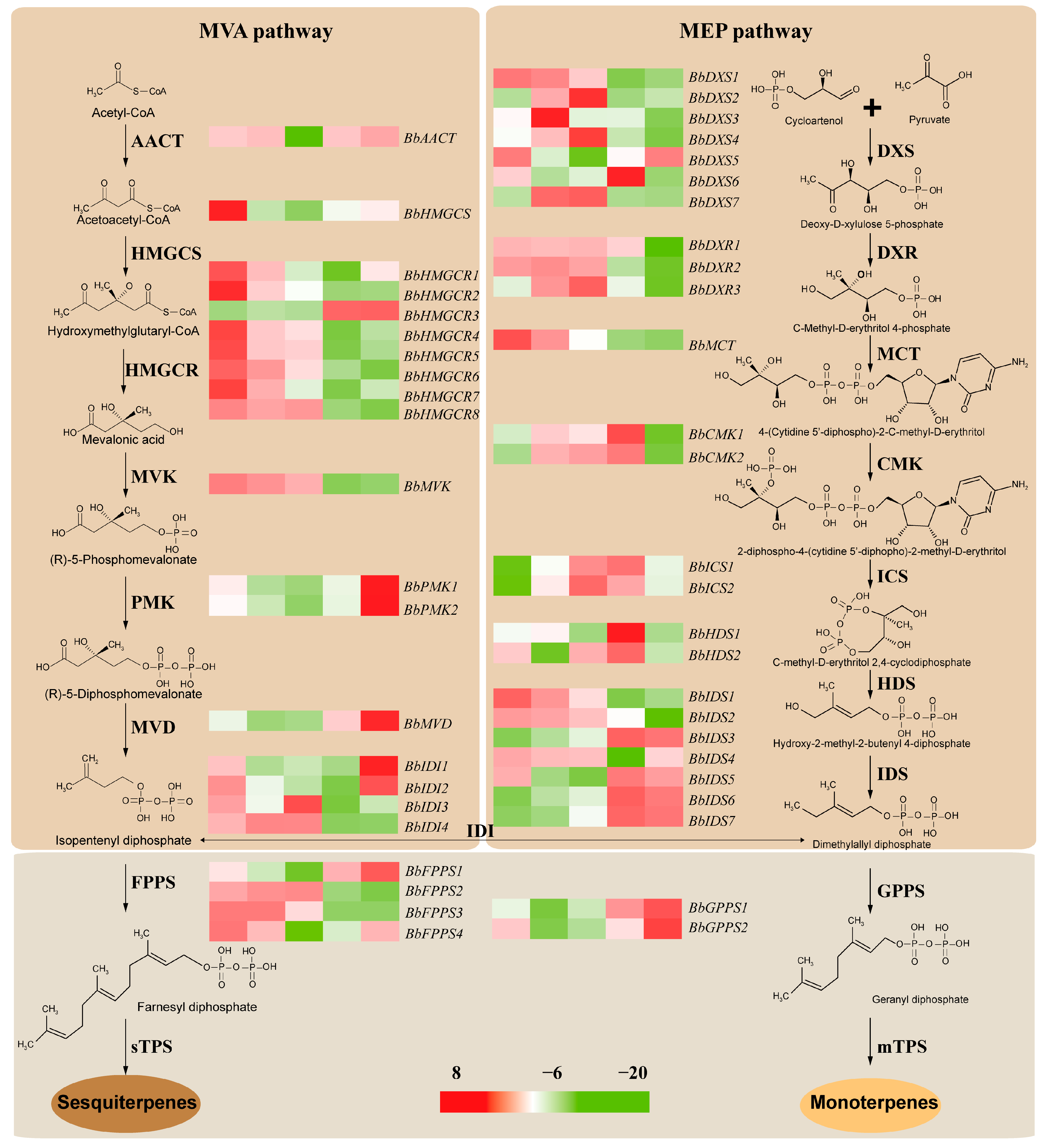 Genes 15 00285 g008 Genes 15 00285 g008