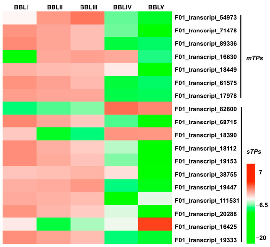 Full-Length Transcriptome Sequencing and RNA-Seq Analysis