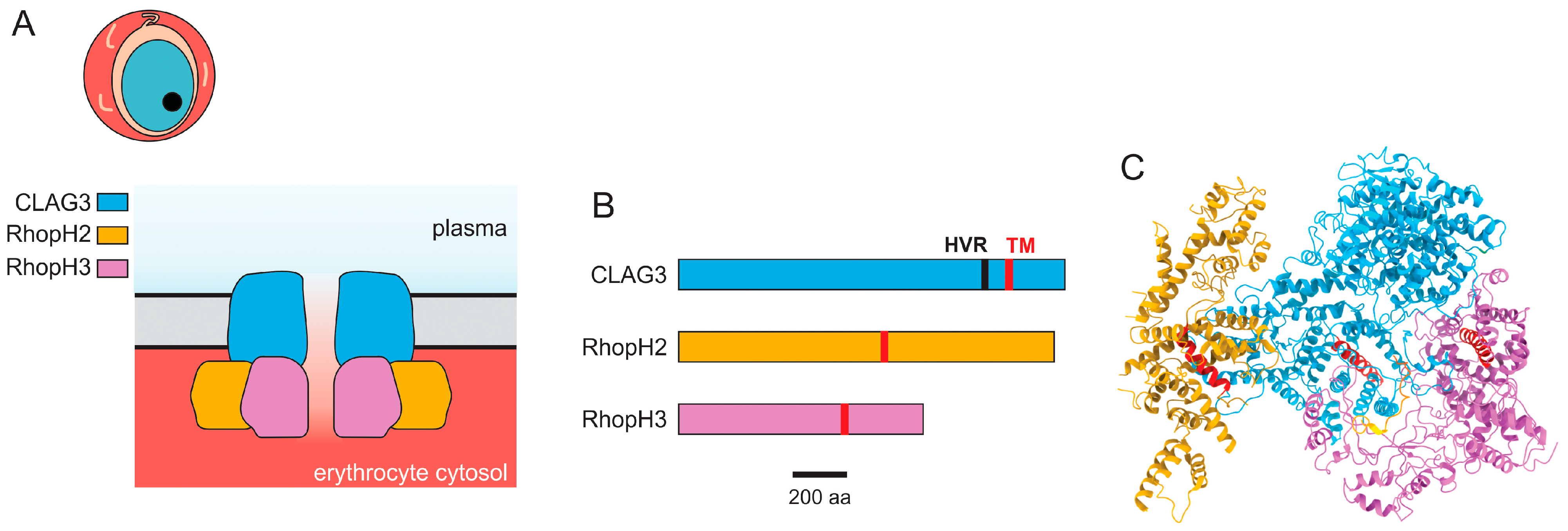 Genes 15 00296 g002 Genes 15 00296 g002