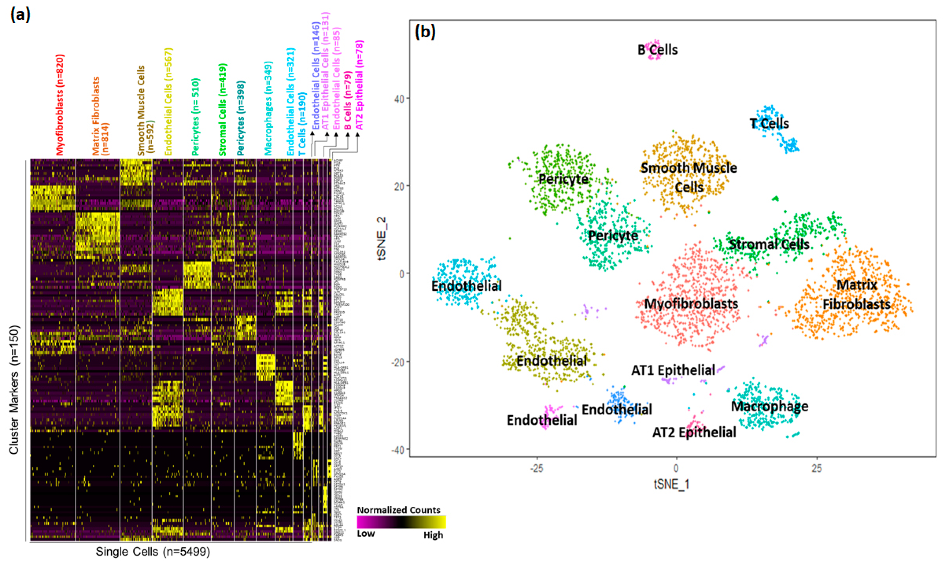 Genes 15 00298 g002 Genes 15 00298 g002