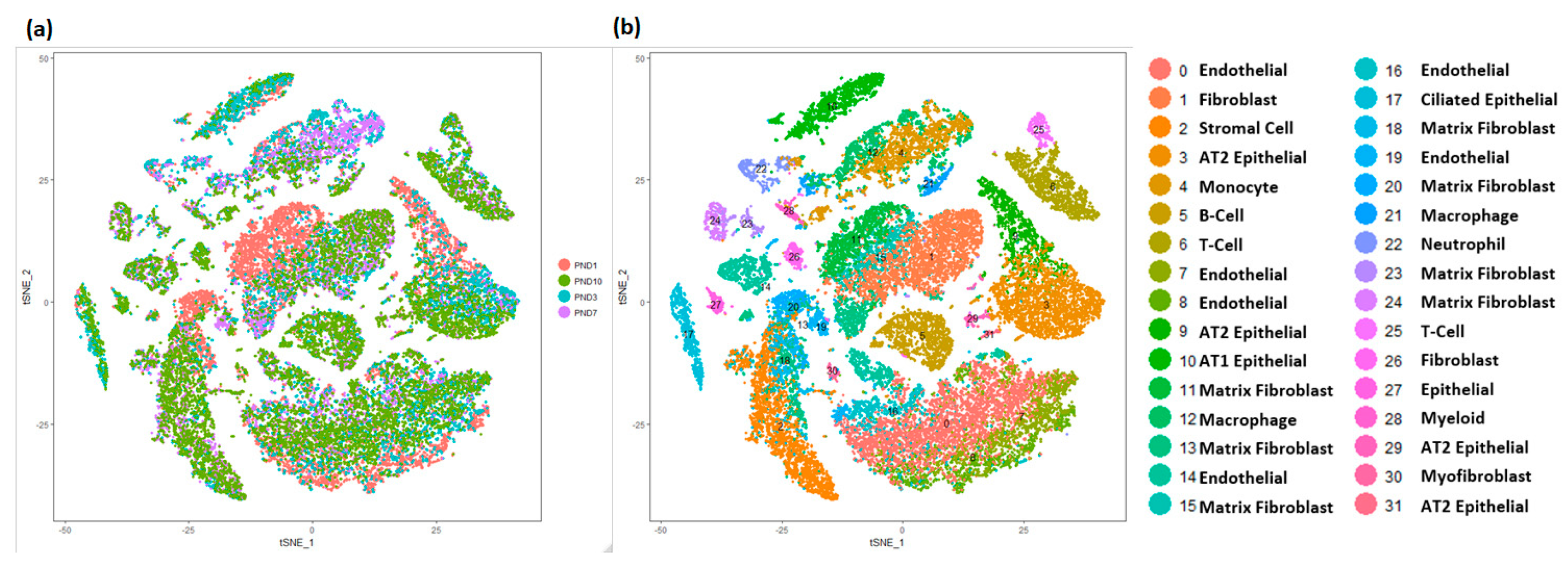 Genes 15 00298 g003 Genes 15 00298 g003