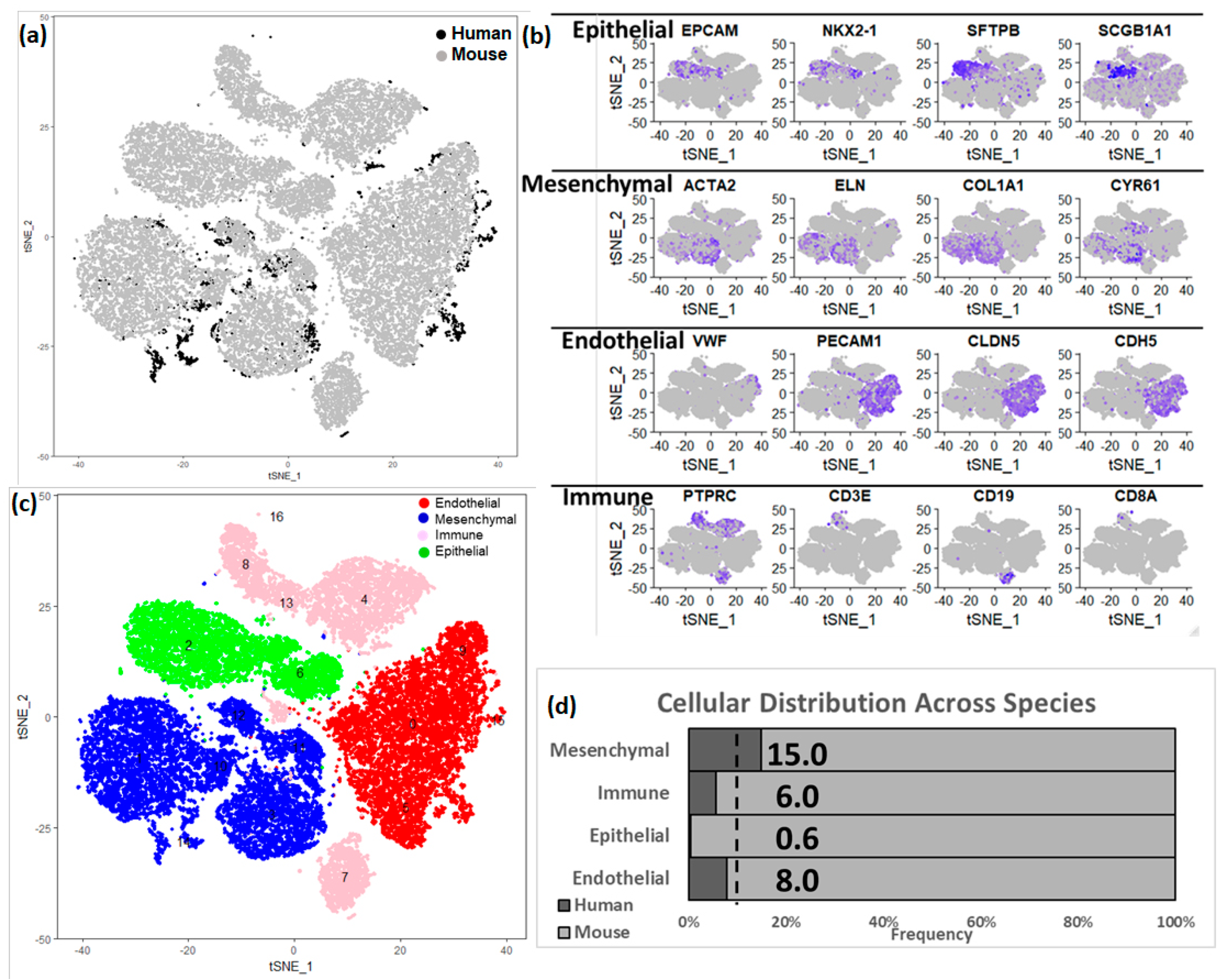 Genes 15 00298 g004 Genes 15 00298 g004