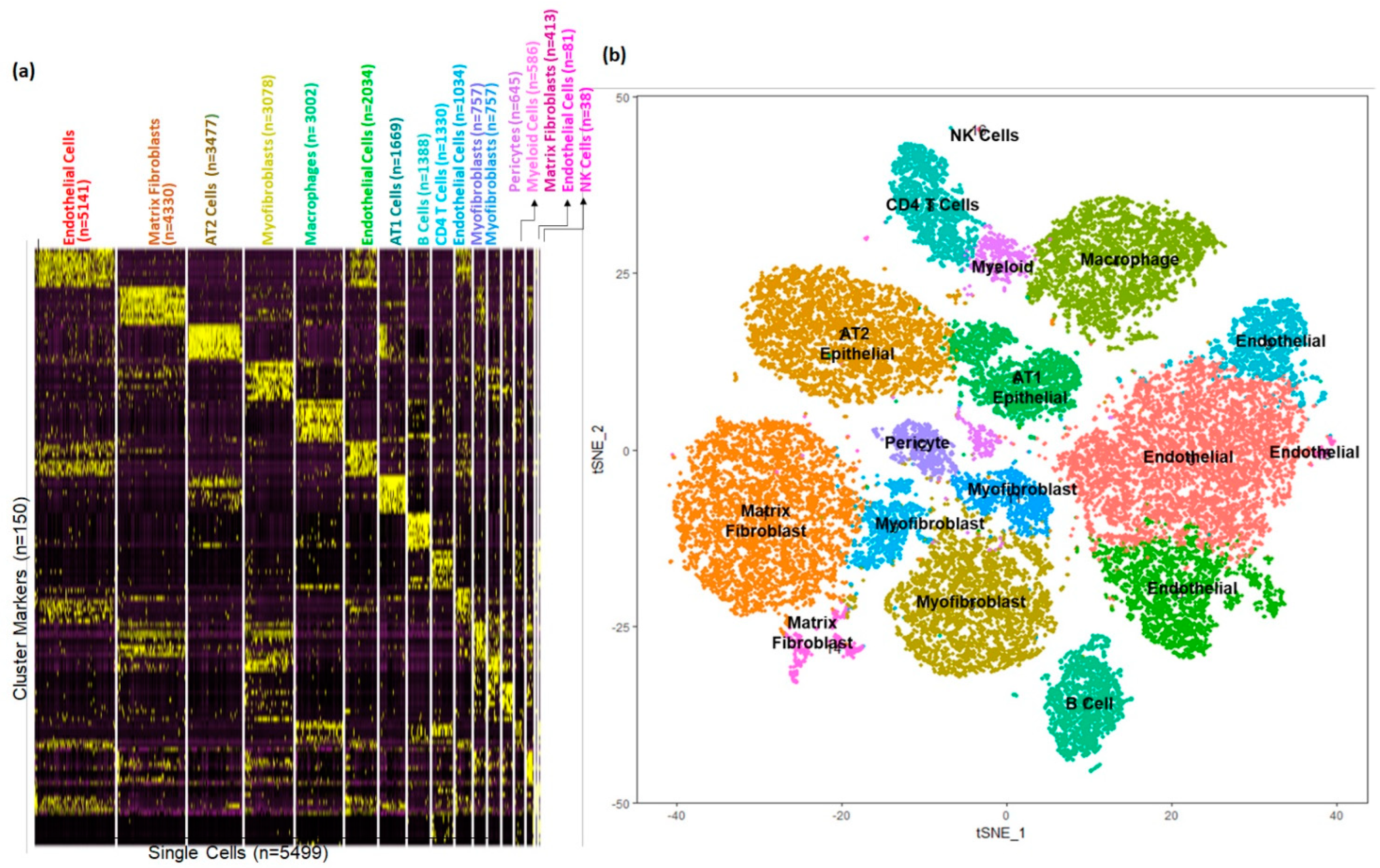 Genes 15 00298 g005 Genes 15 00298 g005