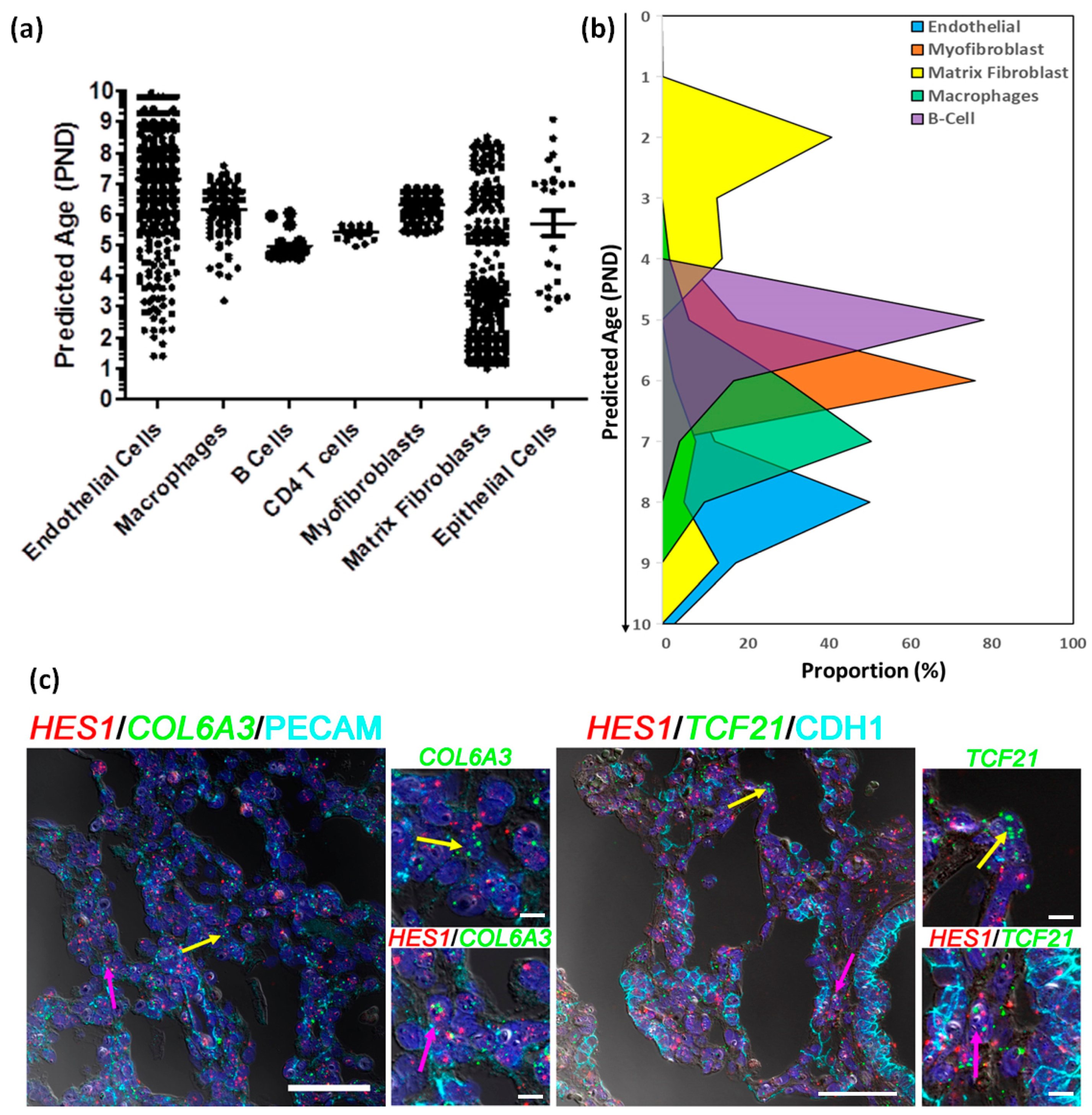 Genes 15 00298 g006 Genes 15 00298 g006