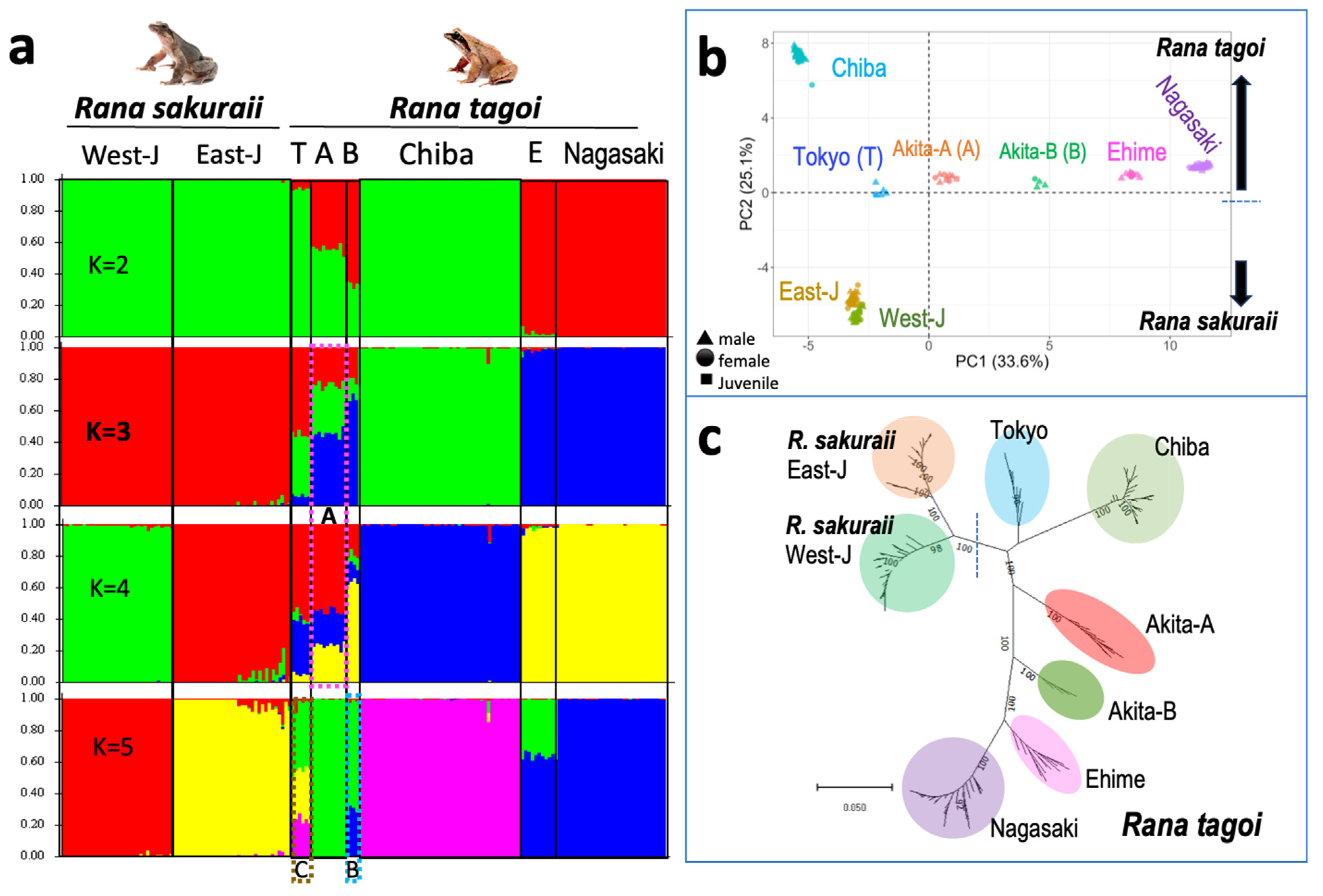 Genes 15 00300 g006
