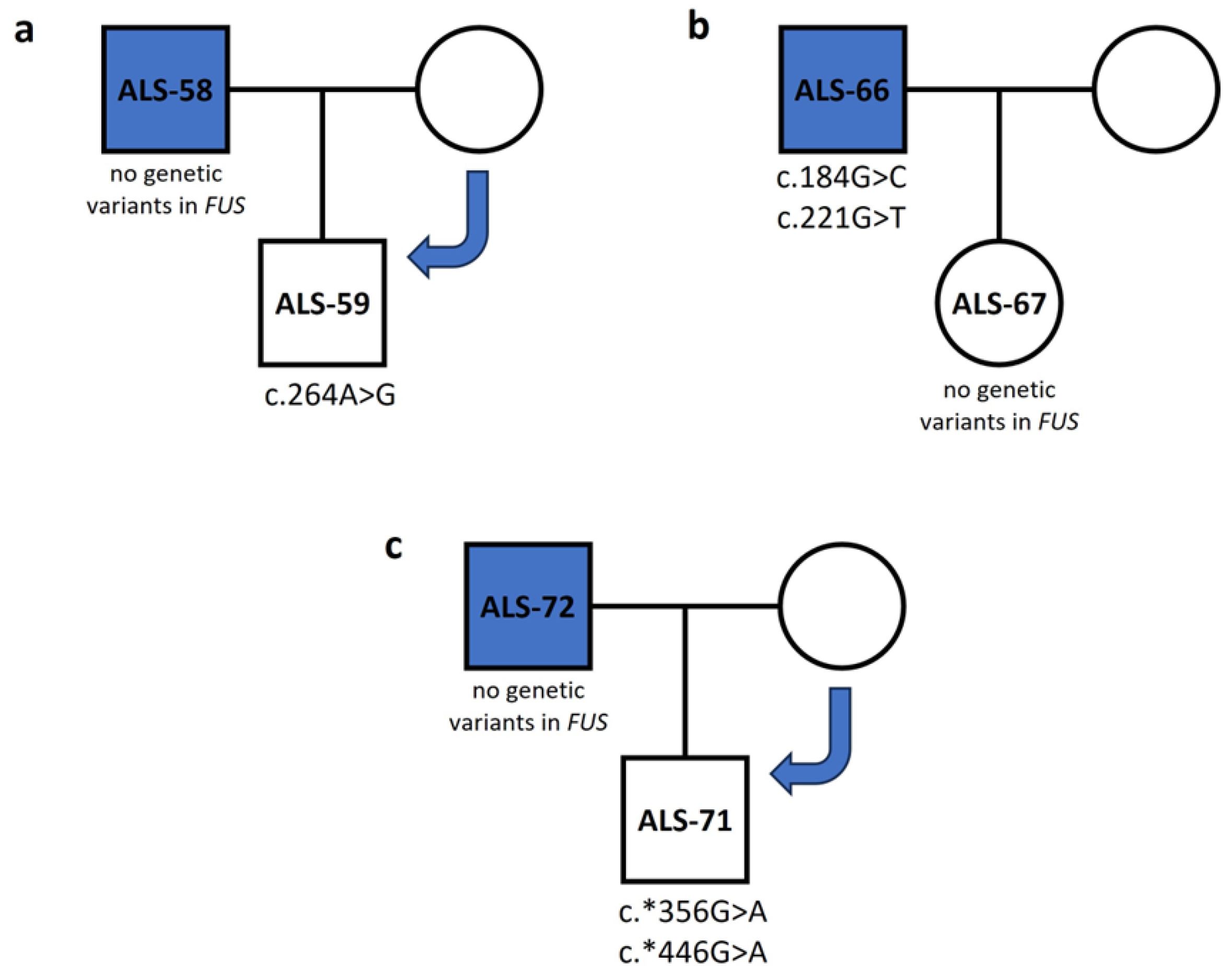 Genes 15 00309 g001 Genes 15 00309 g001