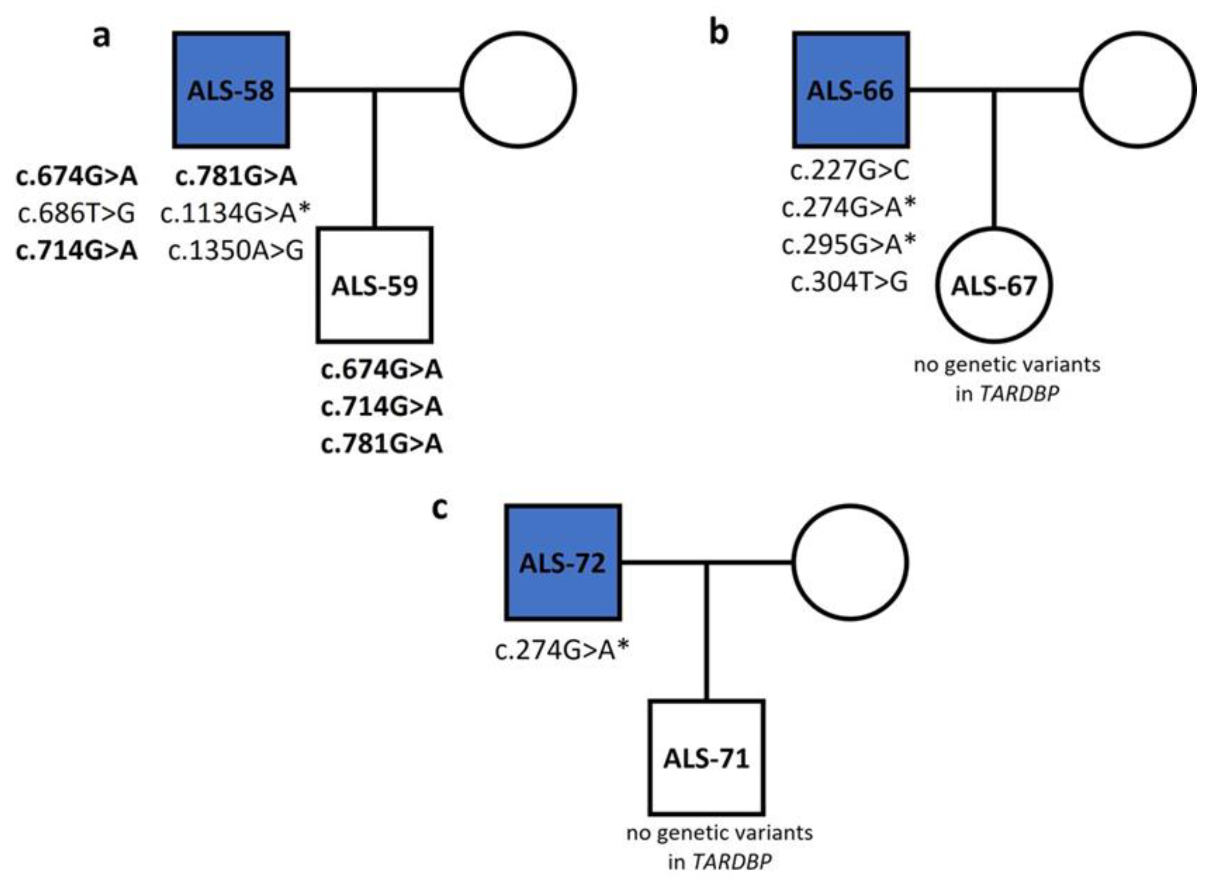 Genes 15 00309 g002 Genes 15 00309 g002