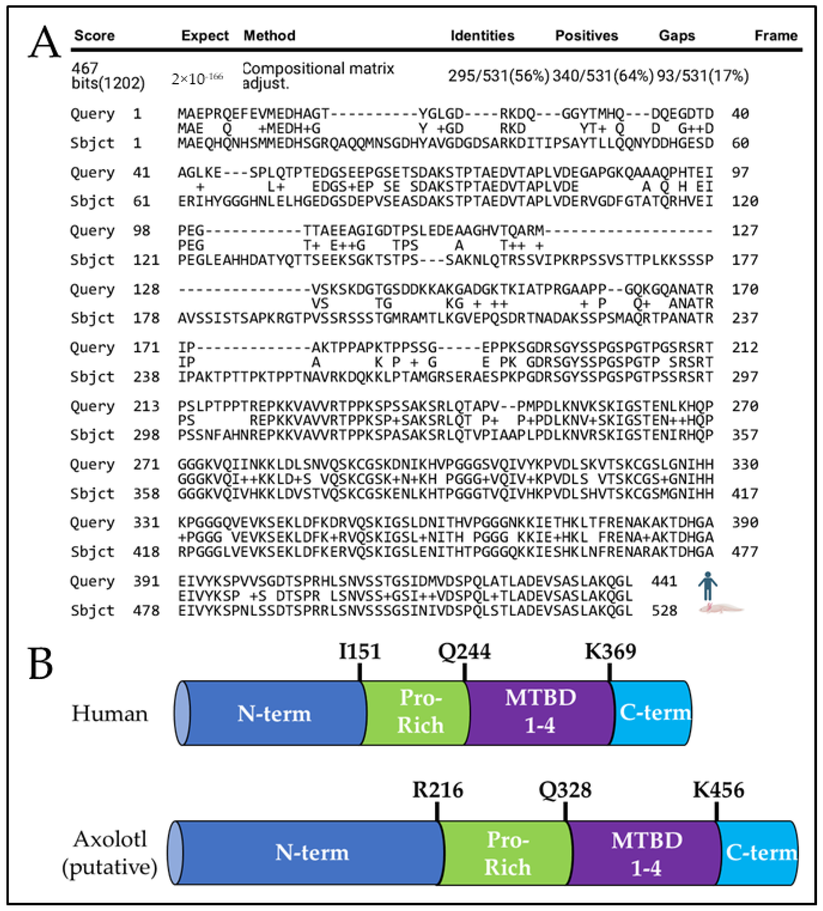 Genes 15 00310 g001