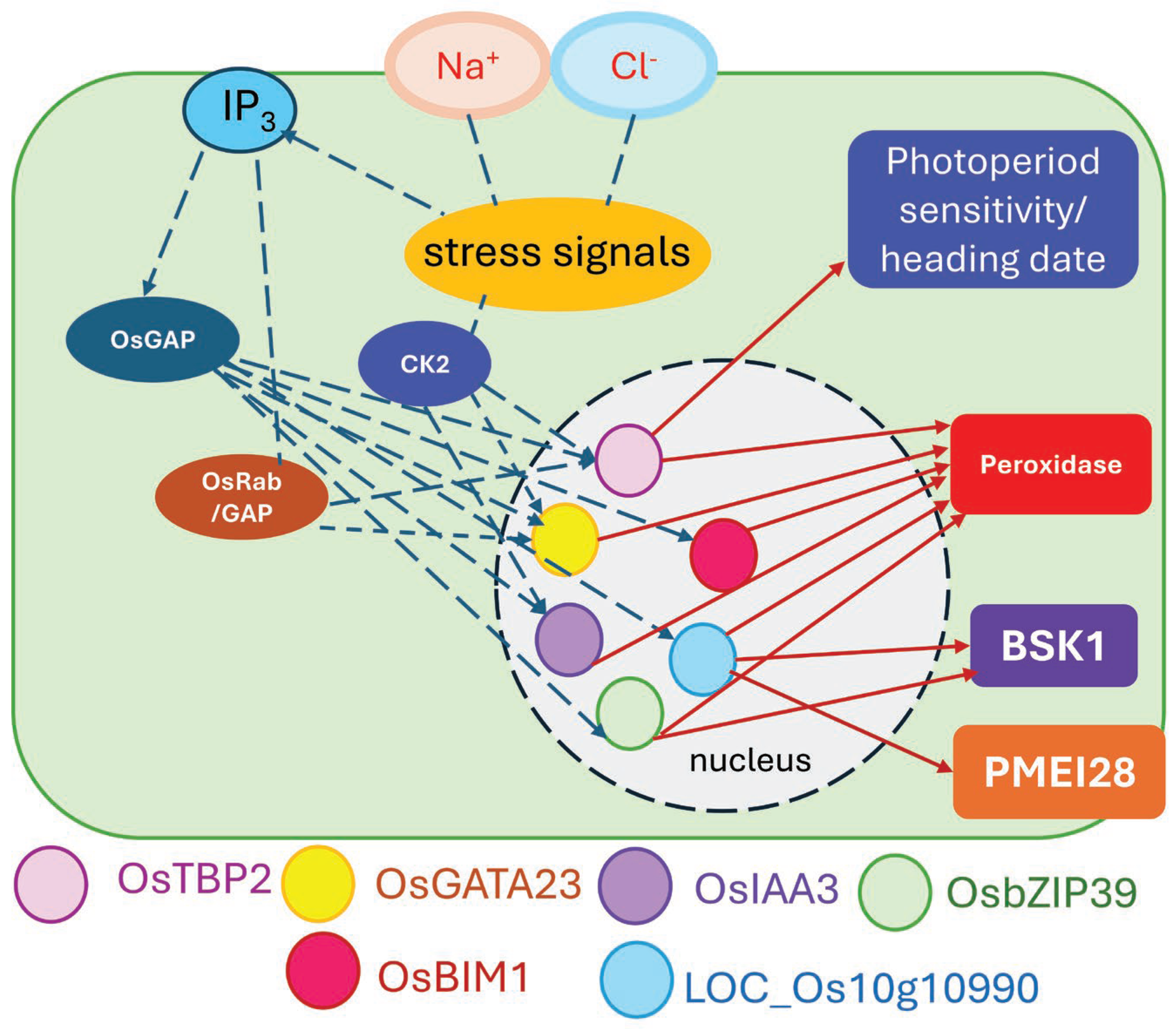 Genes 15 00316 g008