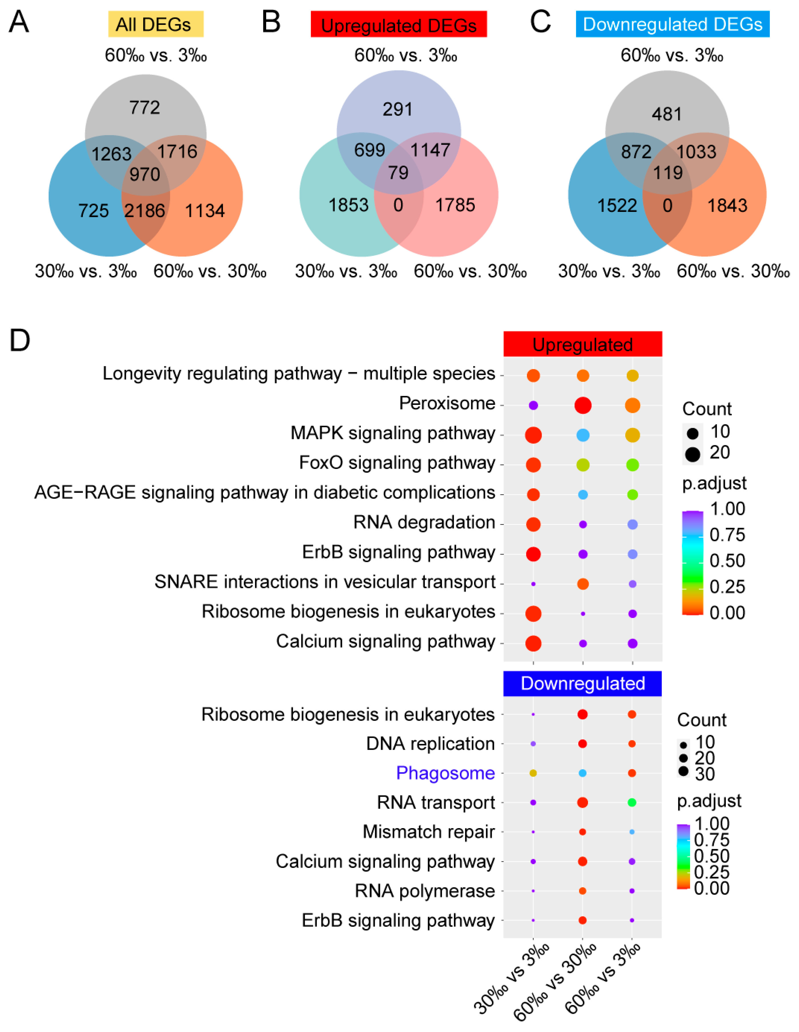 Genes 15 00317 g001