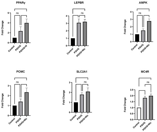 E-Cigarette Exposure Alters Neuroinflammation Gene and Protein Expression  in a Murine Model: Insights from Perinatally Exposed Offspring and  Post-Birth Mothers