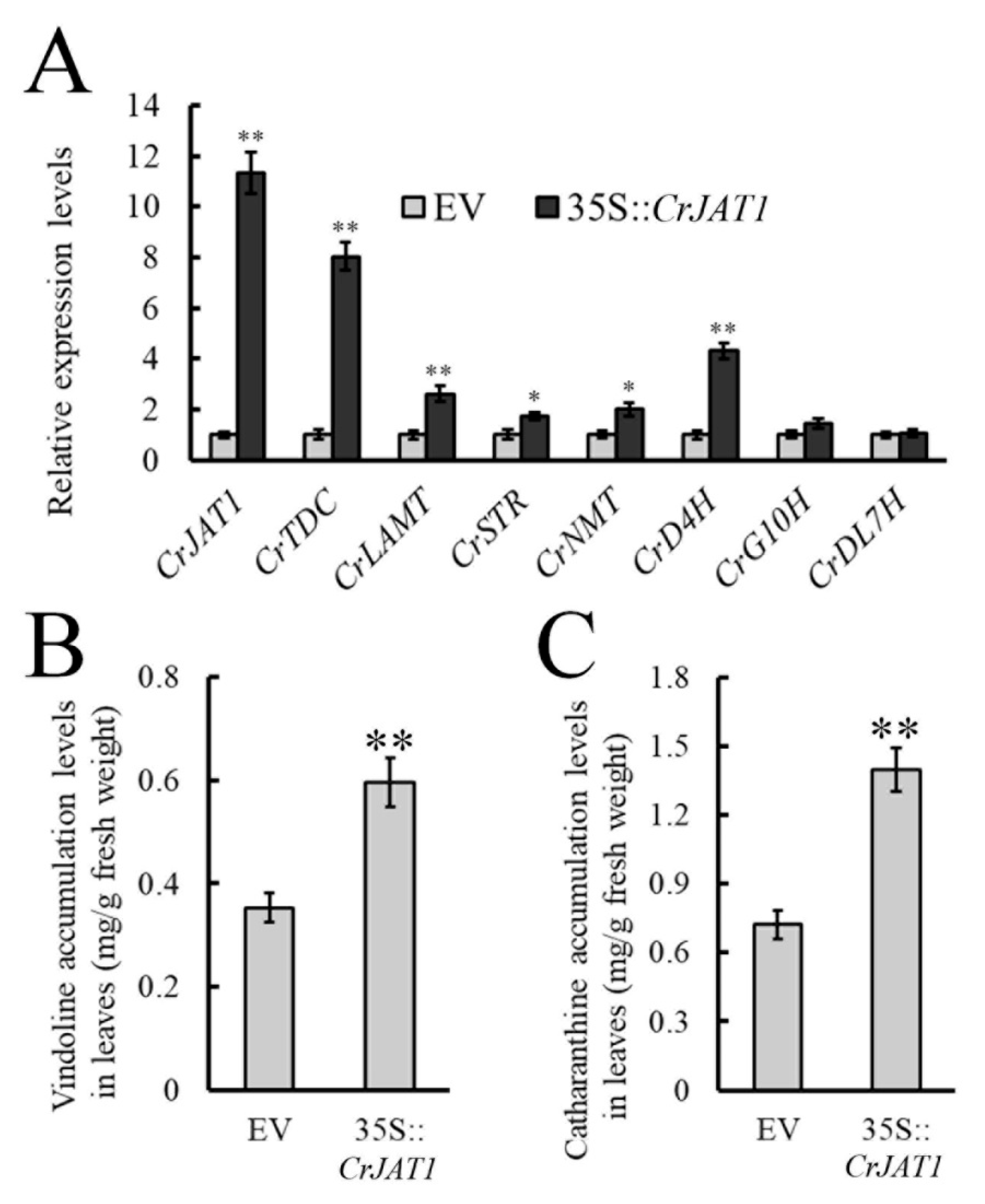 Genes 15 00324 g003