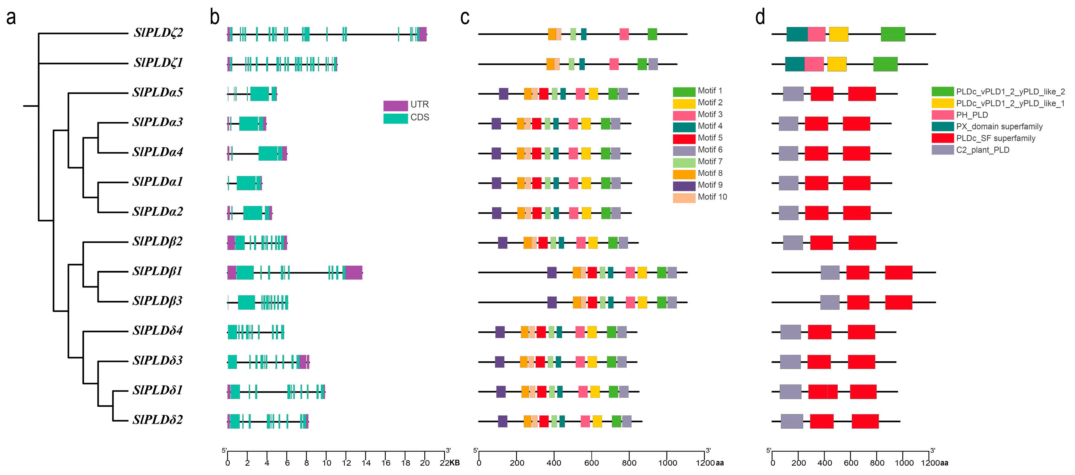 Genes 15 00326 g002