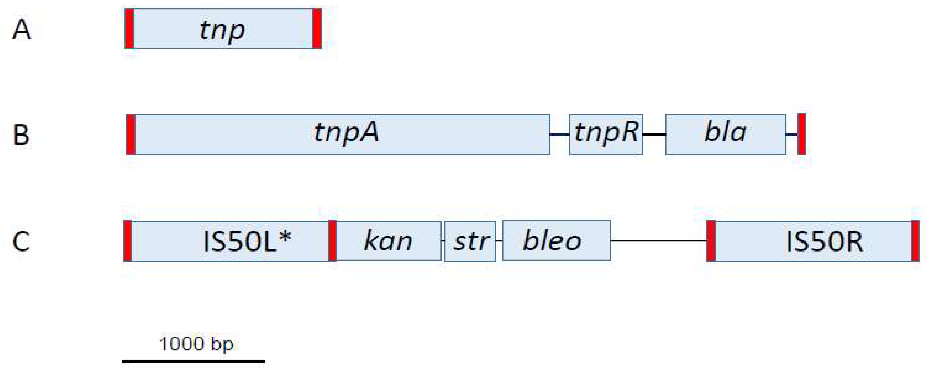 Genes 15 00328 g001 Genes 15 00328 g001