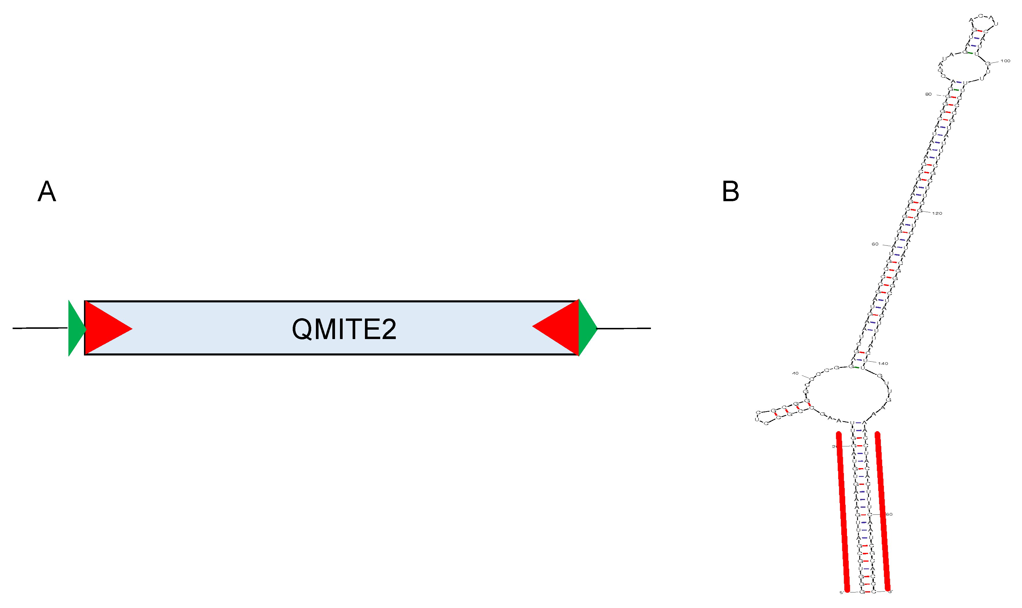 Genes 15 00328 g002 Genes 15 00328 g002