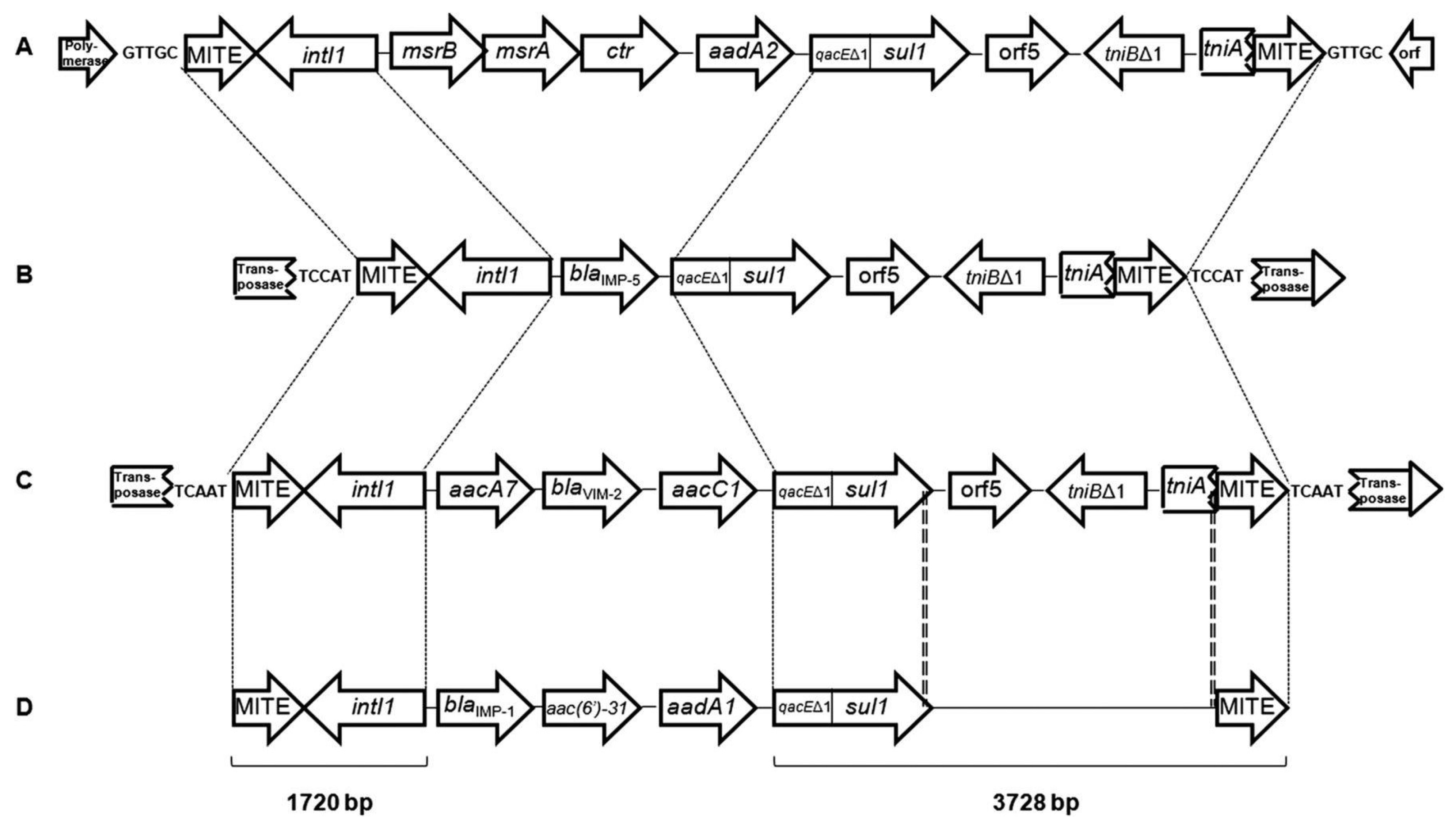Genes 15 00328 g003 Genes 15 00328 g003
