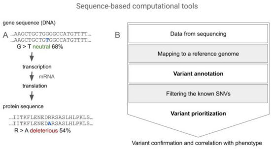 Computational Tools to Assist in Analyzing Effects of the SERPINA1 