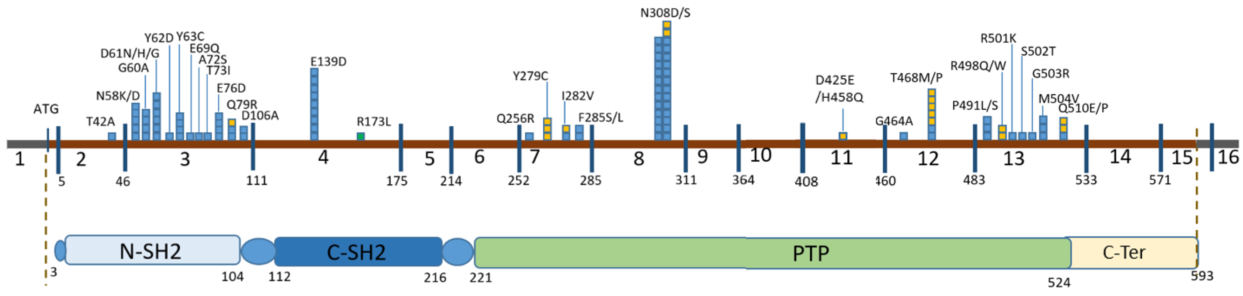 Genes 15 00345 g001 Genes 15 00345 g001