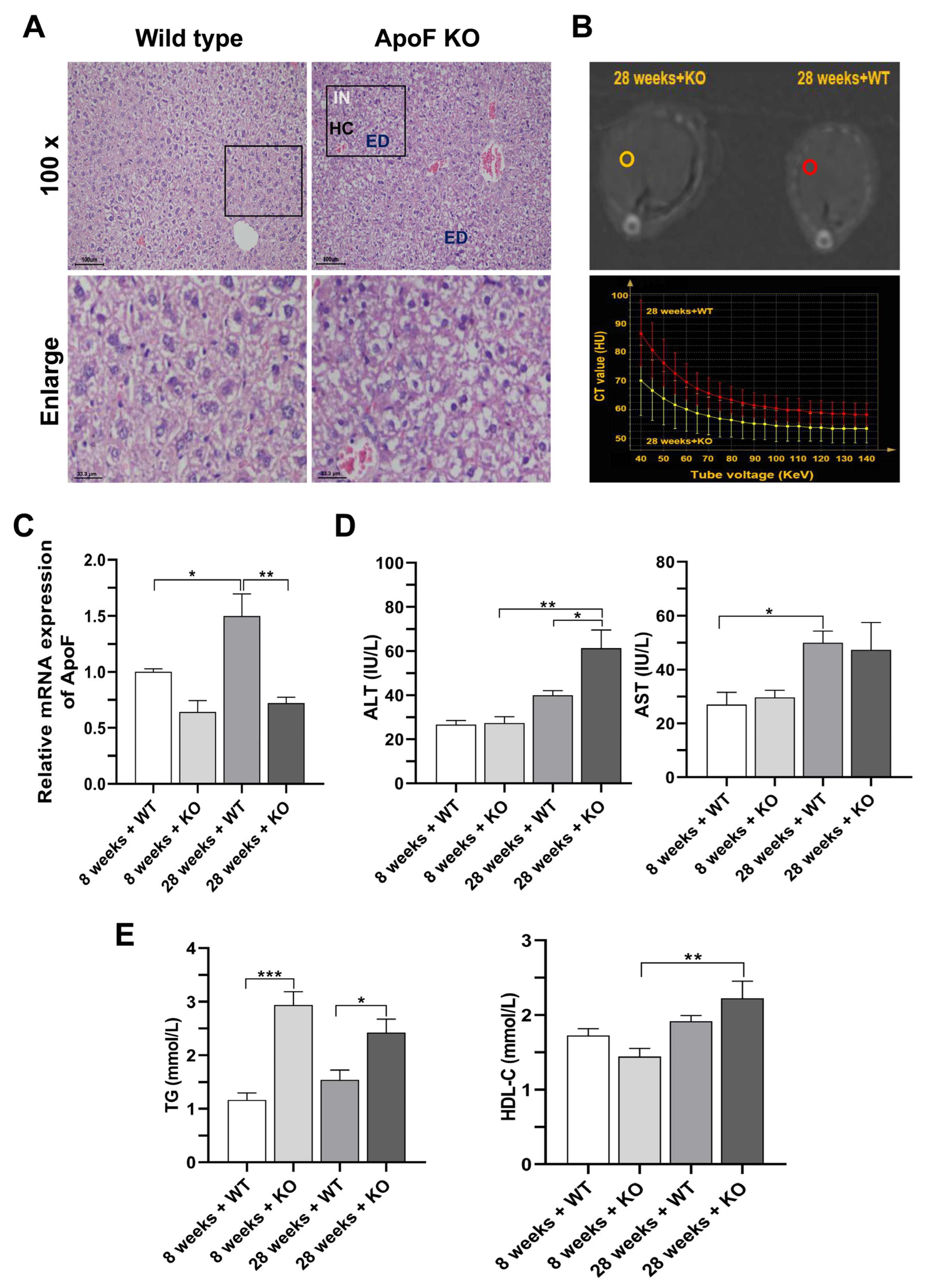 Genes 15 00347 g002 Genes 15 00347 g002