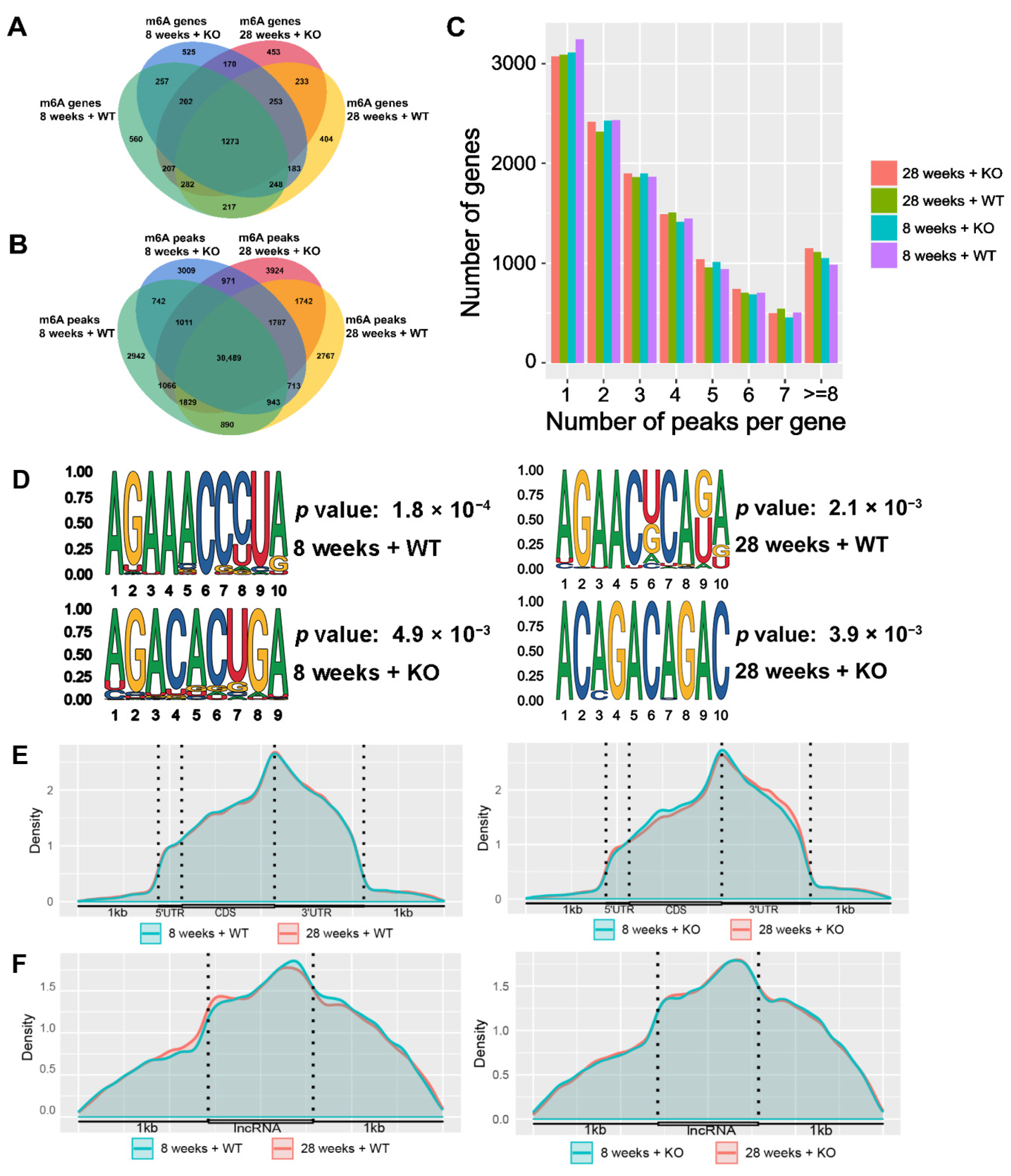 Genes 15 00347 g003 Genes 15 00347 g003