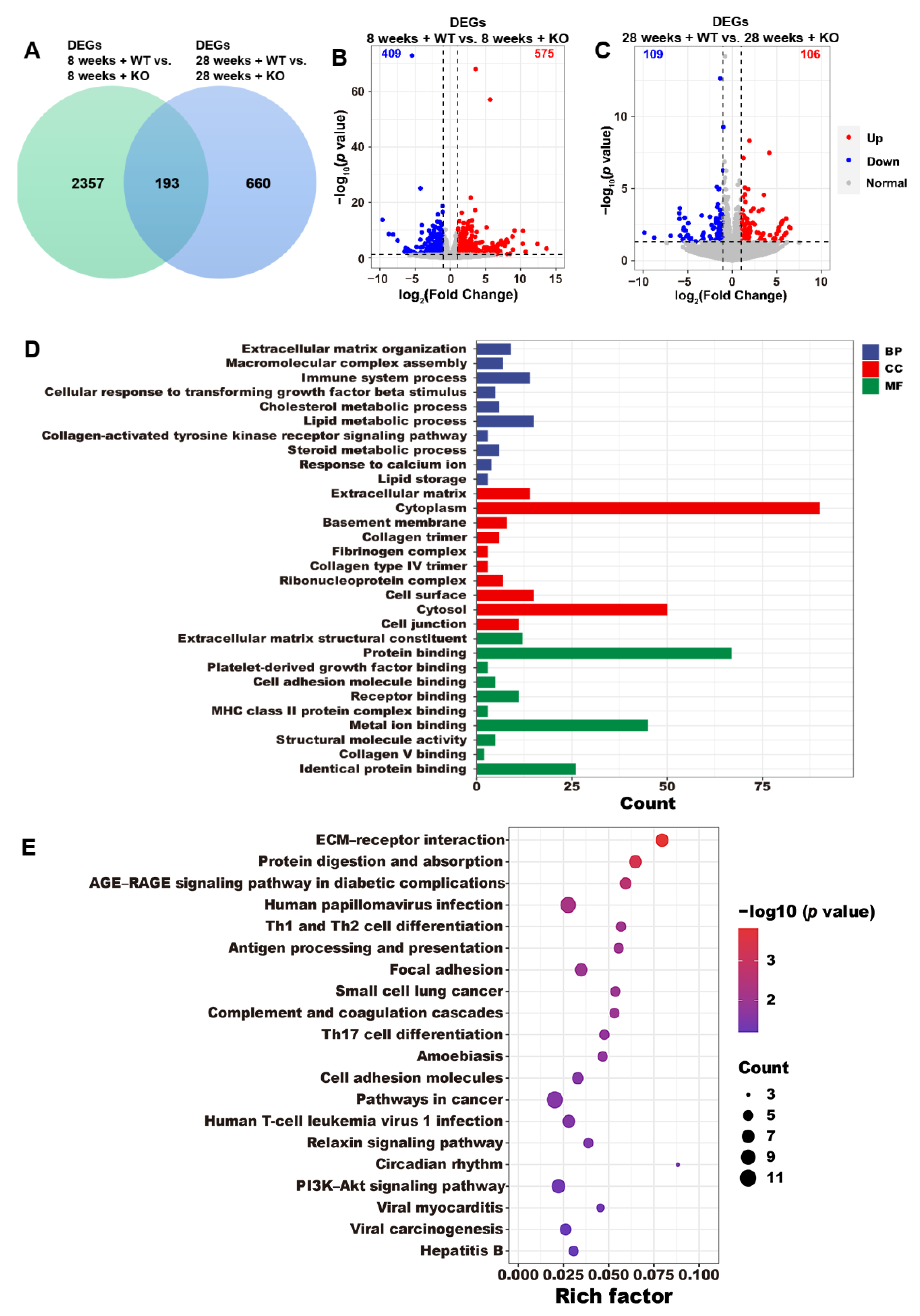 Genes 15 00347 g004 Genes 15 00347 g004