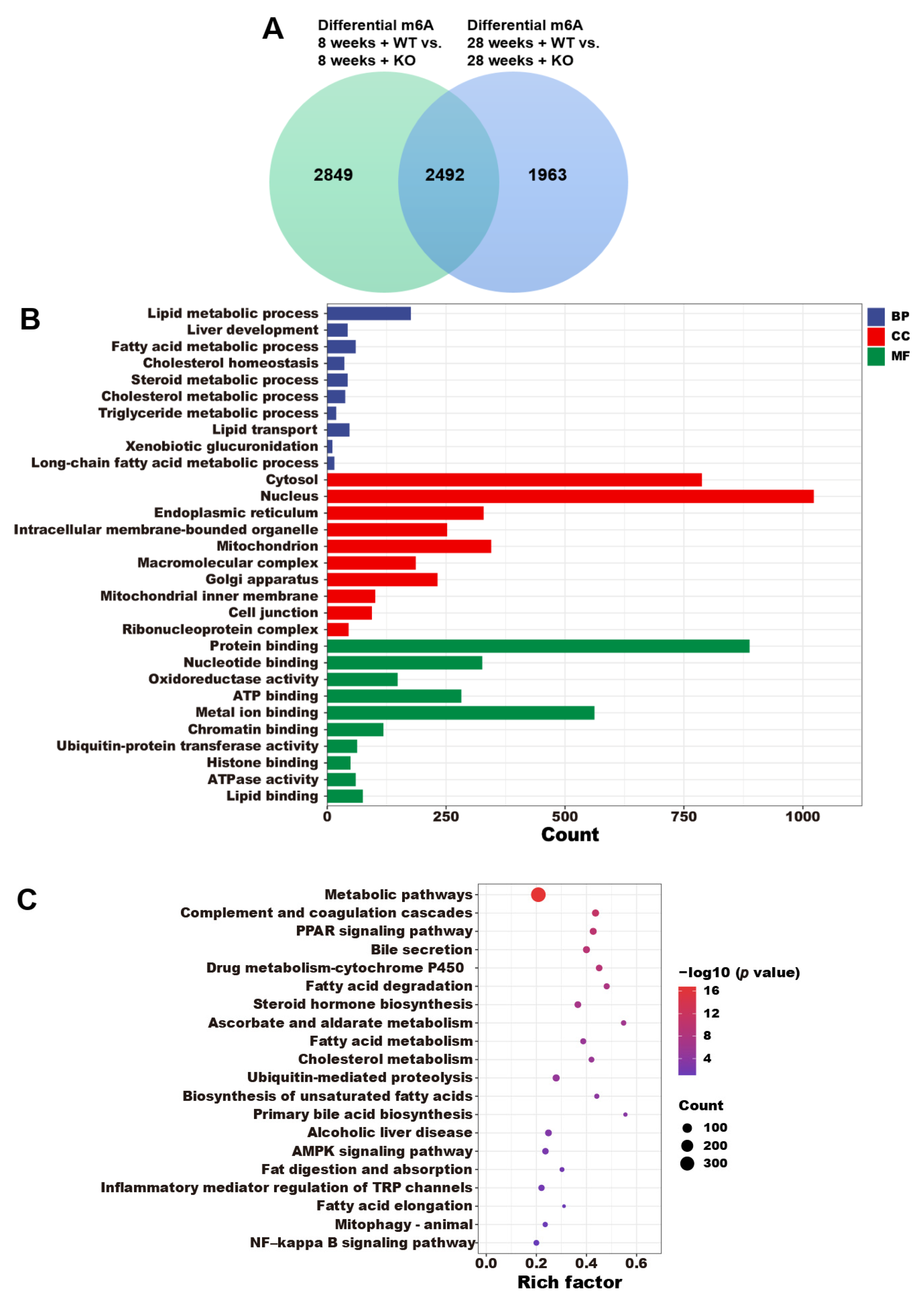 Genes 15 00347 g005 Genes 15 00347 g005