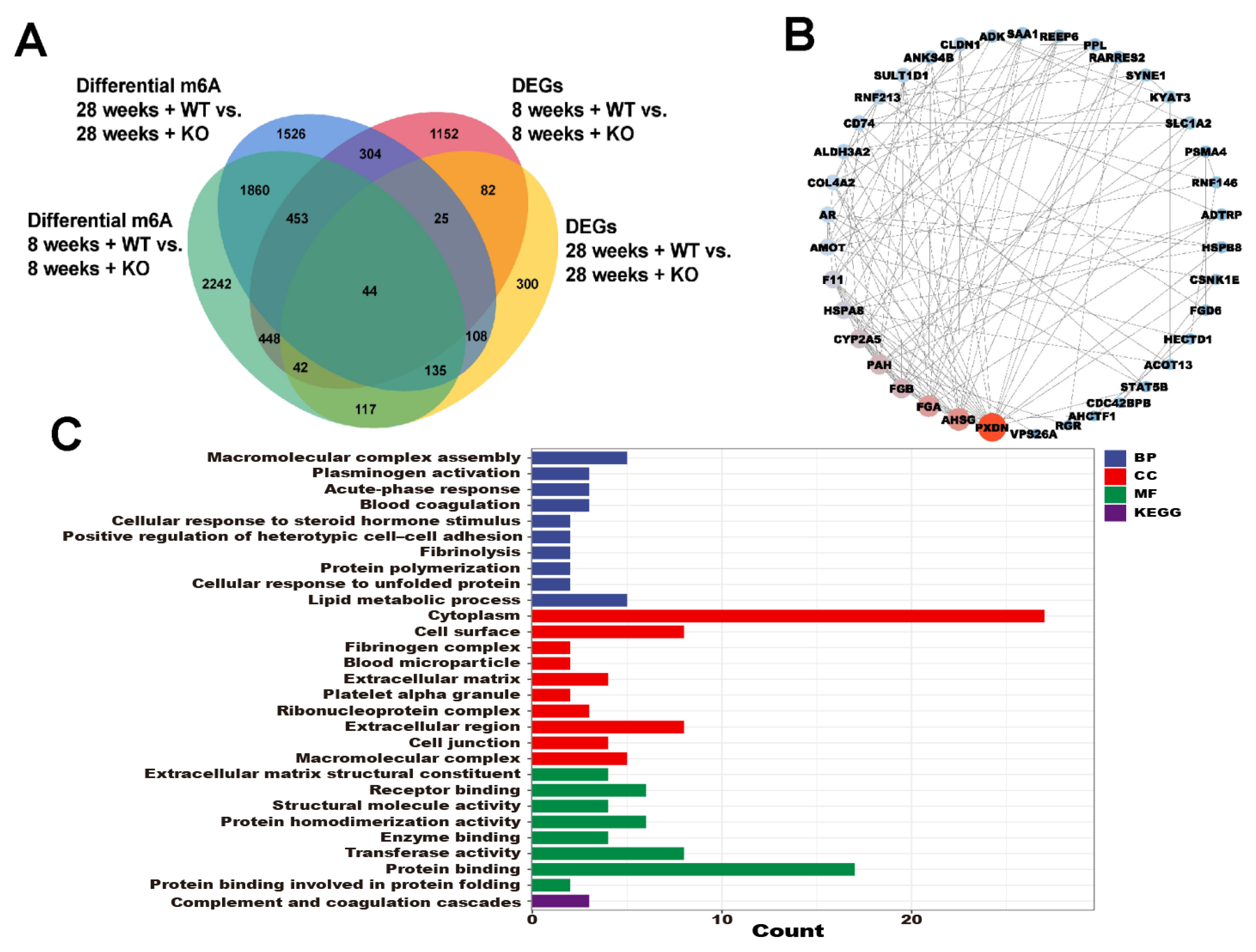Genes 15 00347 g006 Genes 15 00347 g006