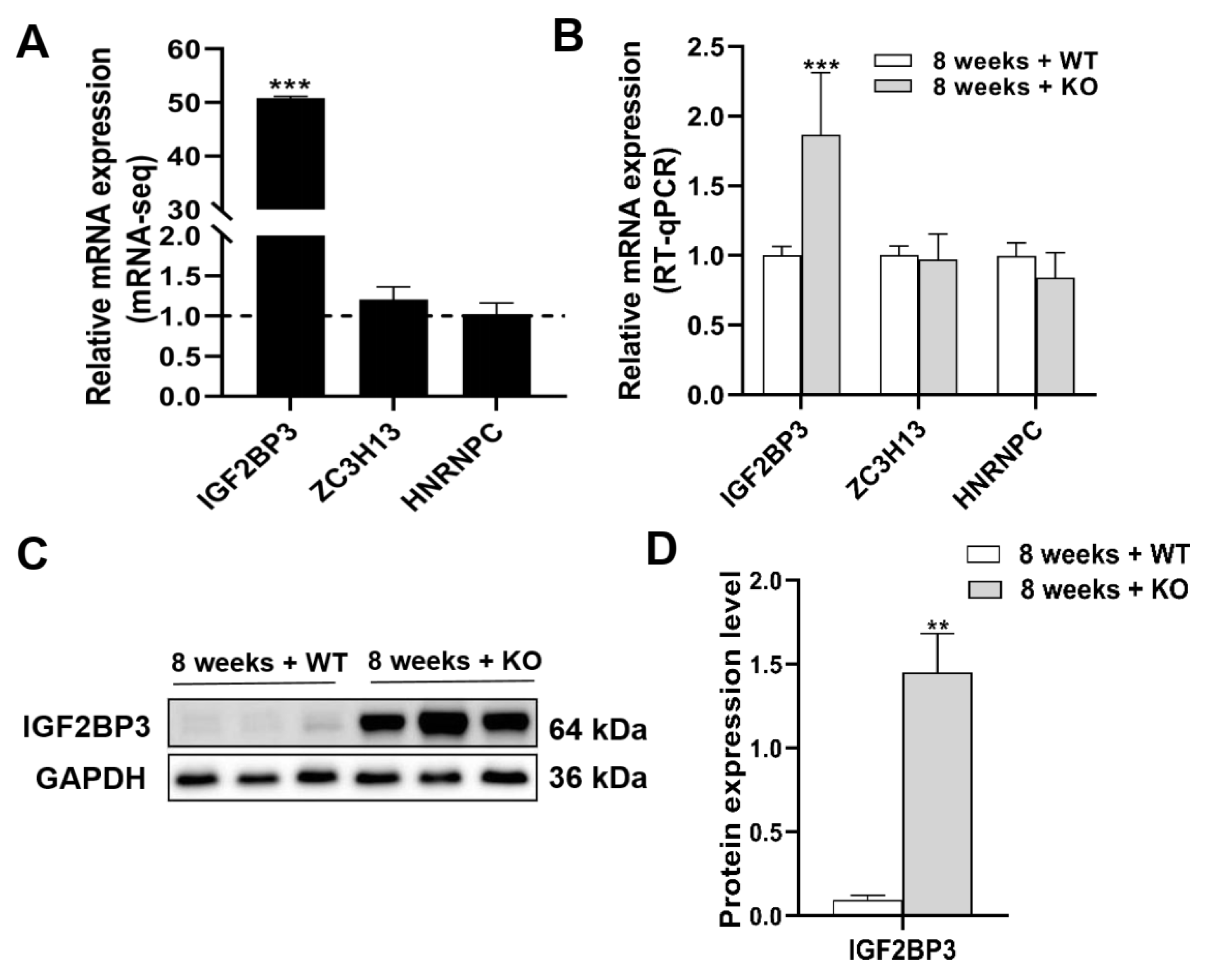 Genes 15 00347 g007 Genes 15 00347 g007