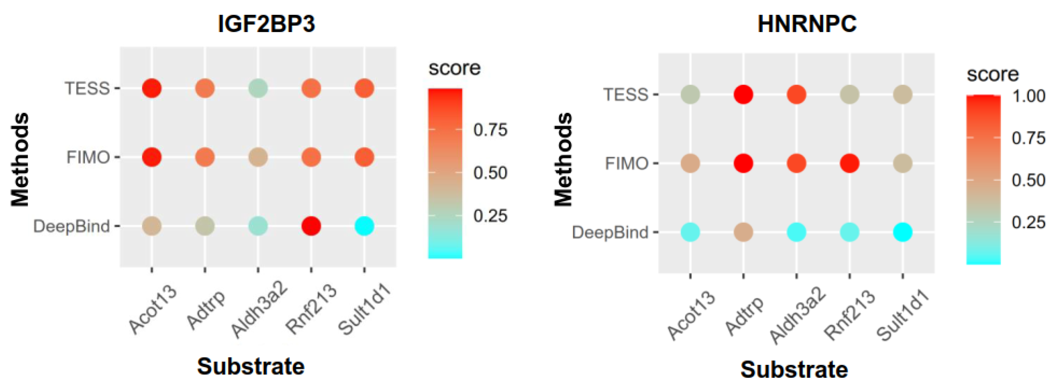 Genes 15 00347 g008 Genes 15 00347 g008