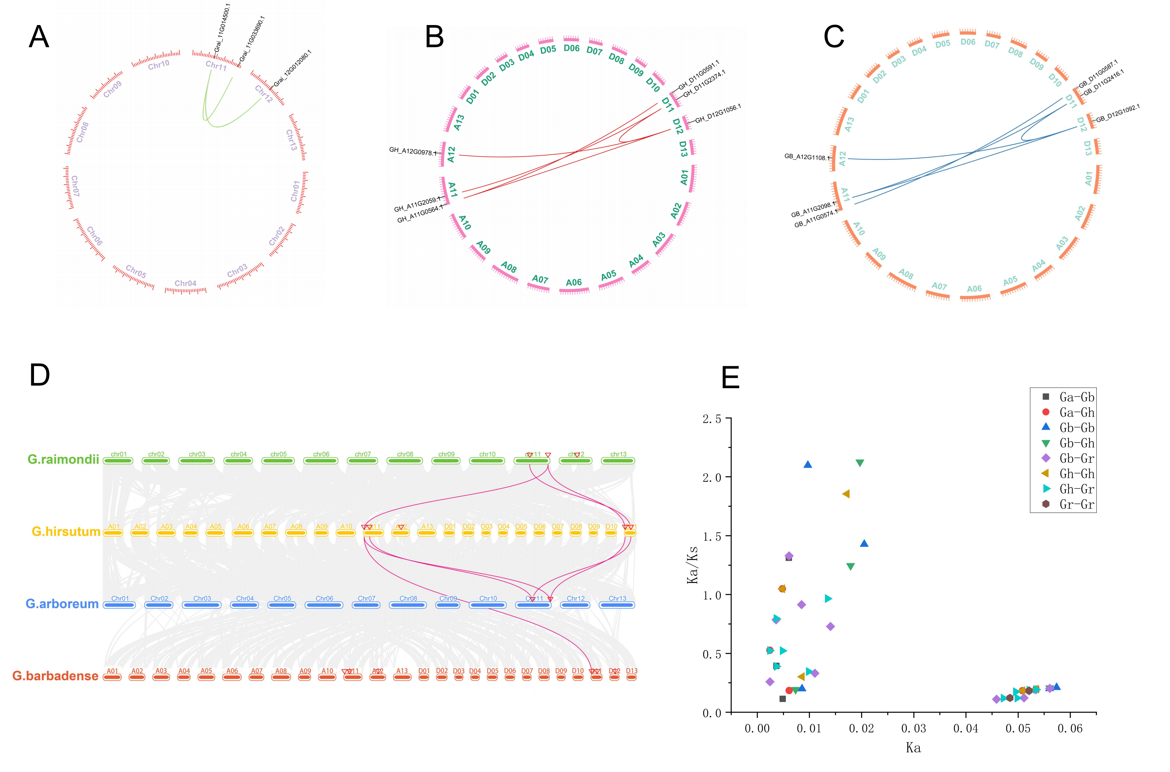Genes 15 00348 g004