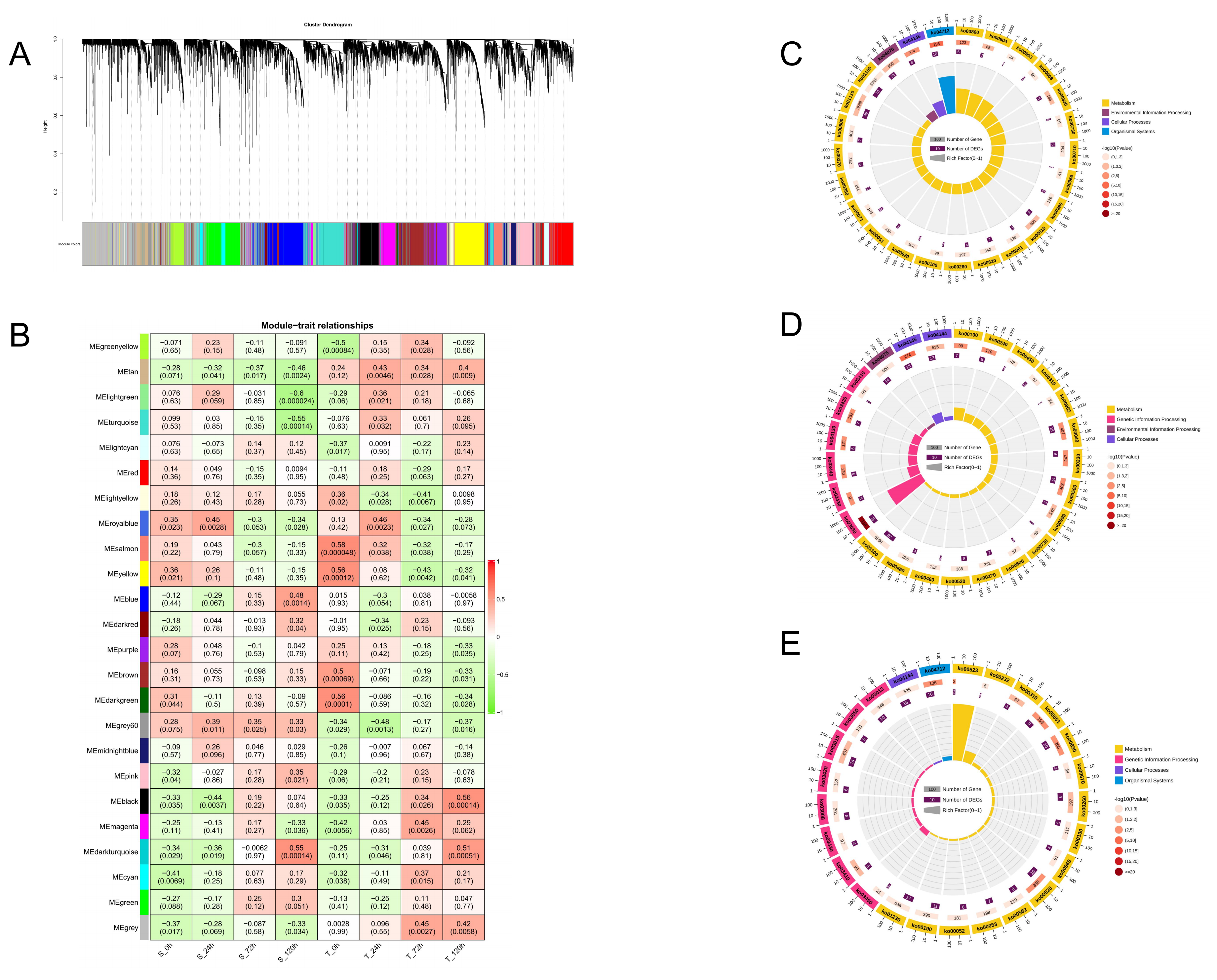 Genes 15 00348 g007