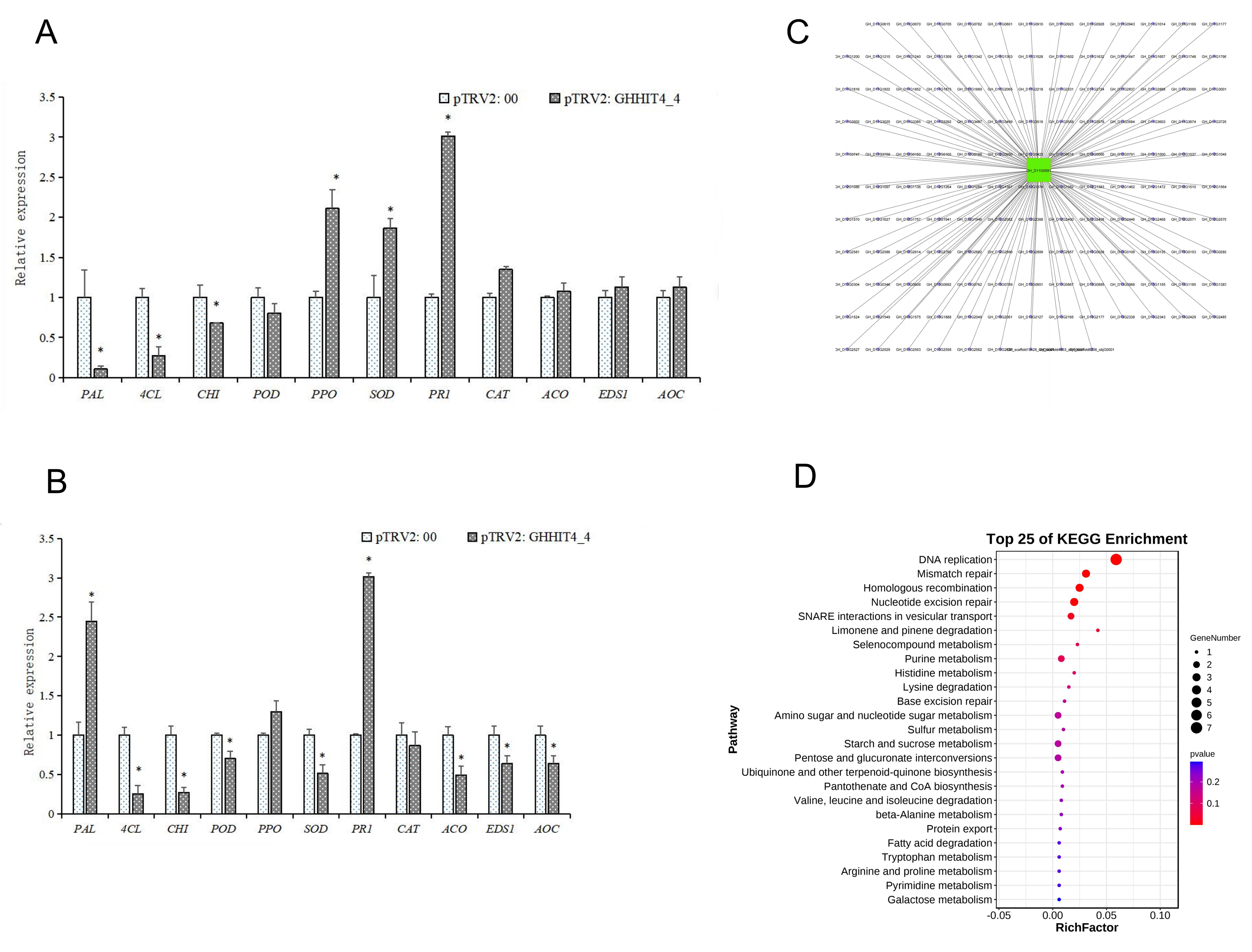 Genes 15 00348 g010