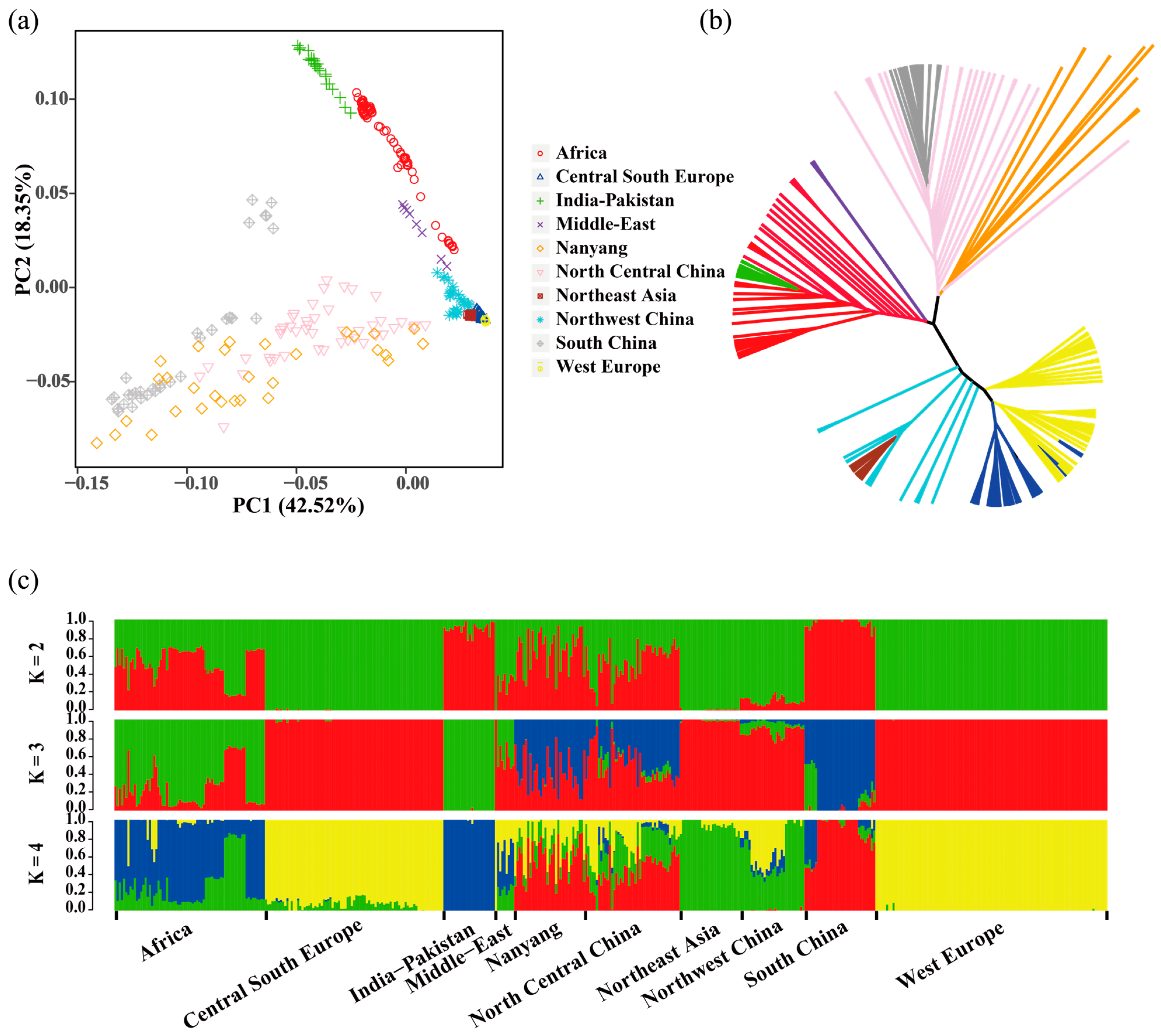 Genes 15 00351 g001 Genes 15 00351 g001