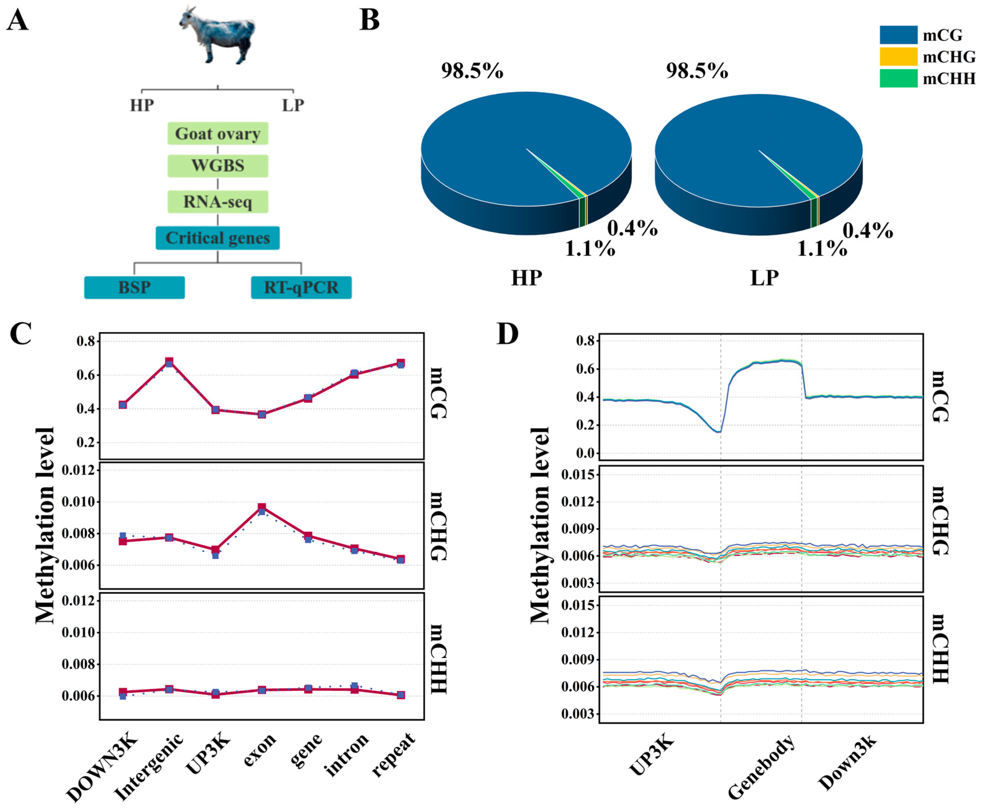 Genes 15 00353 g001