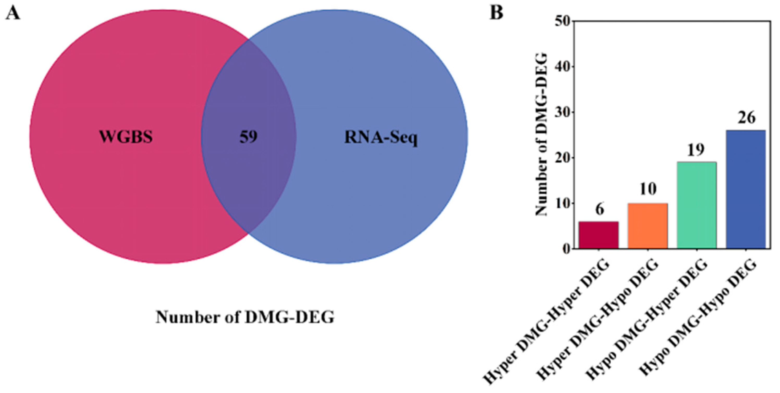 Genes 15 00353 g004